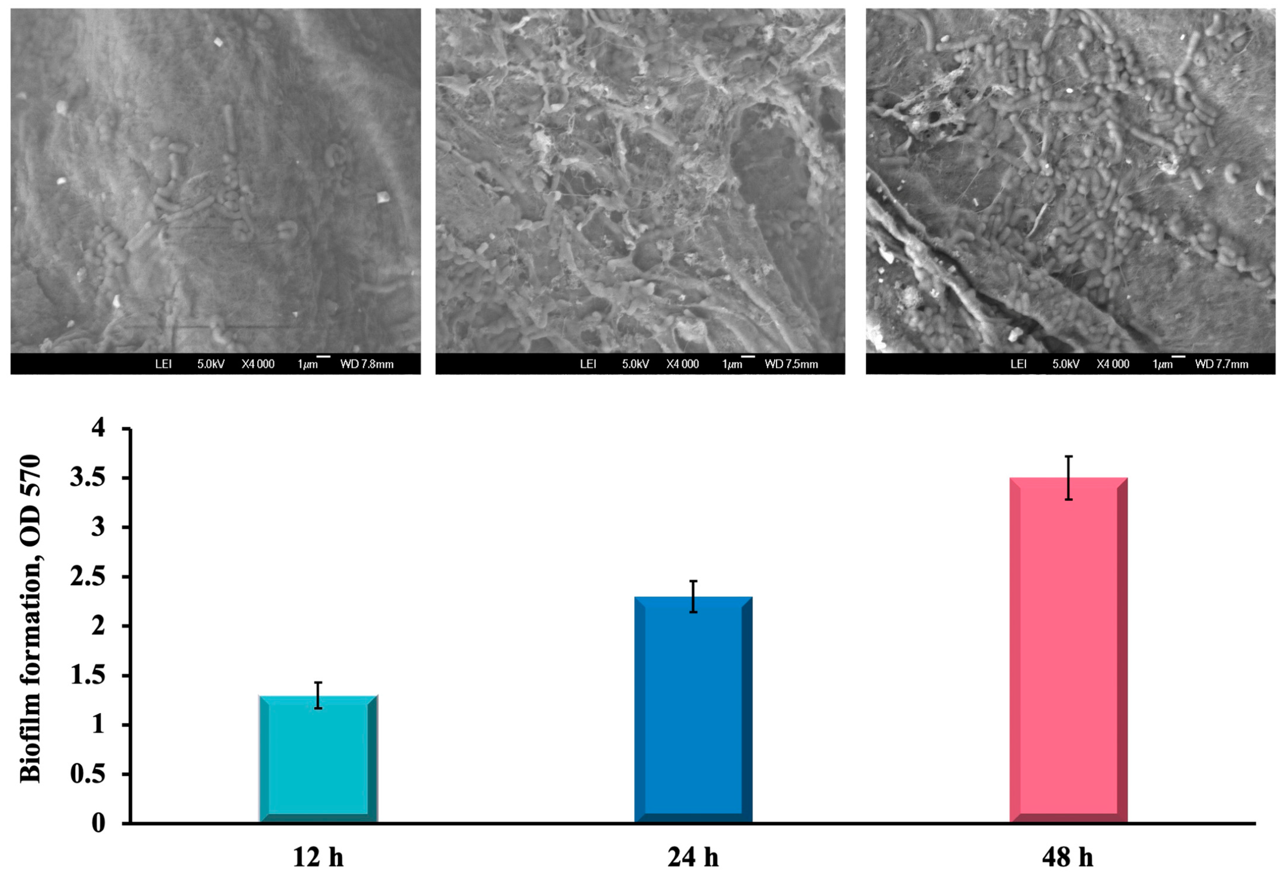 Polymers 16 00030 g002