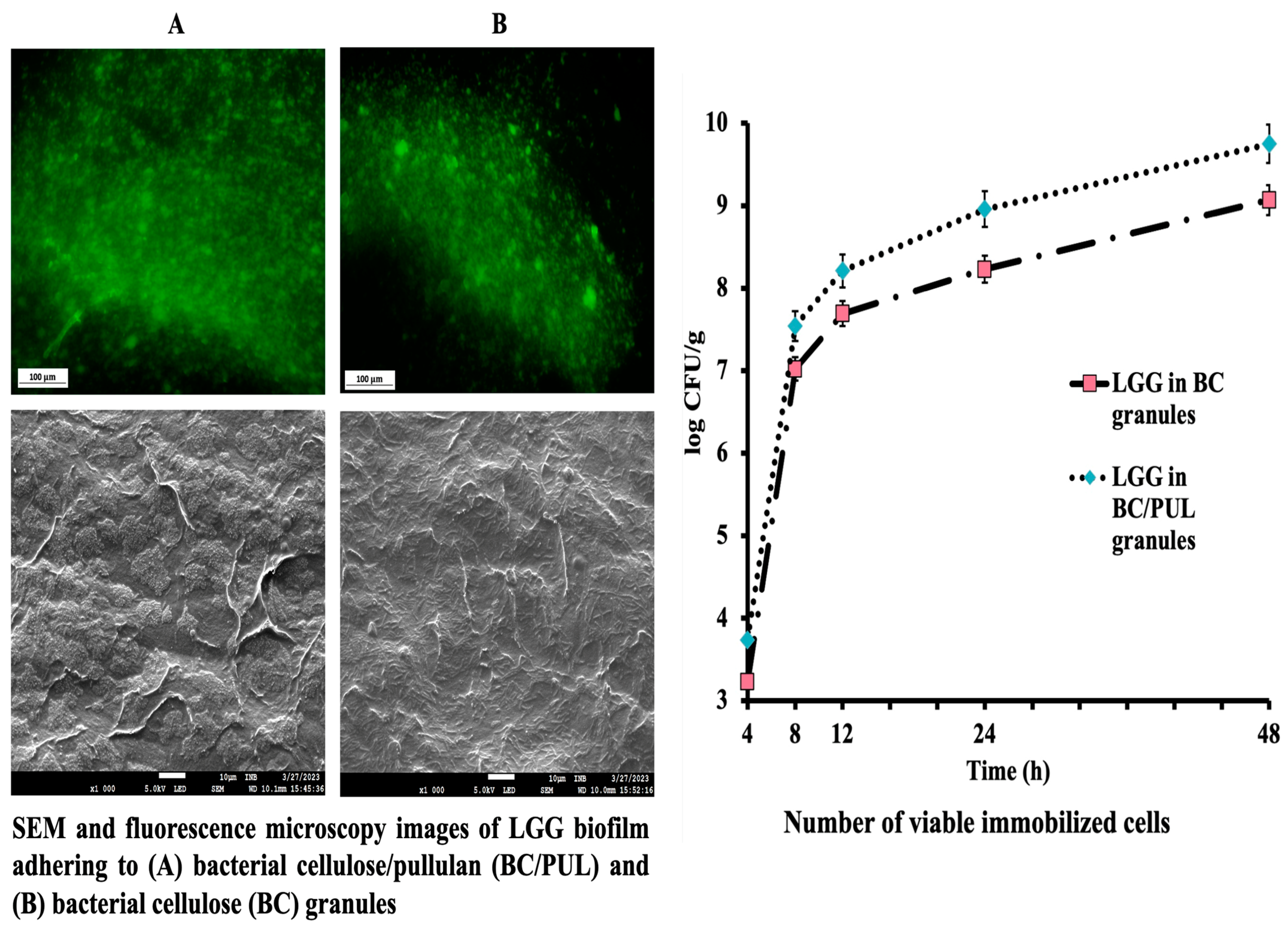 Polymers 16 00030 g004