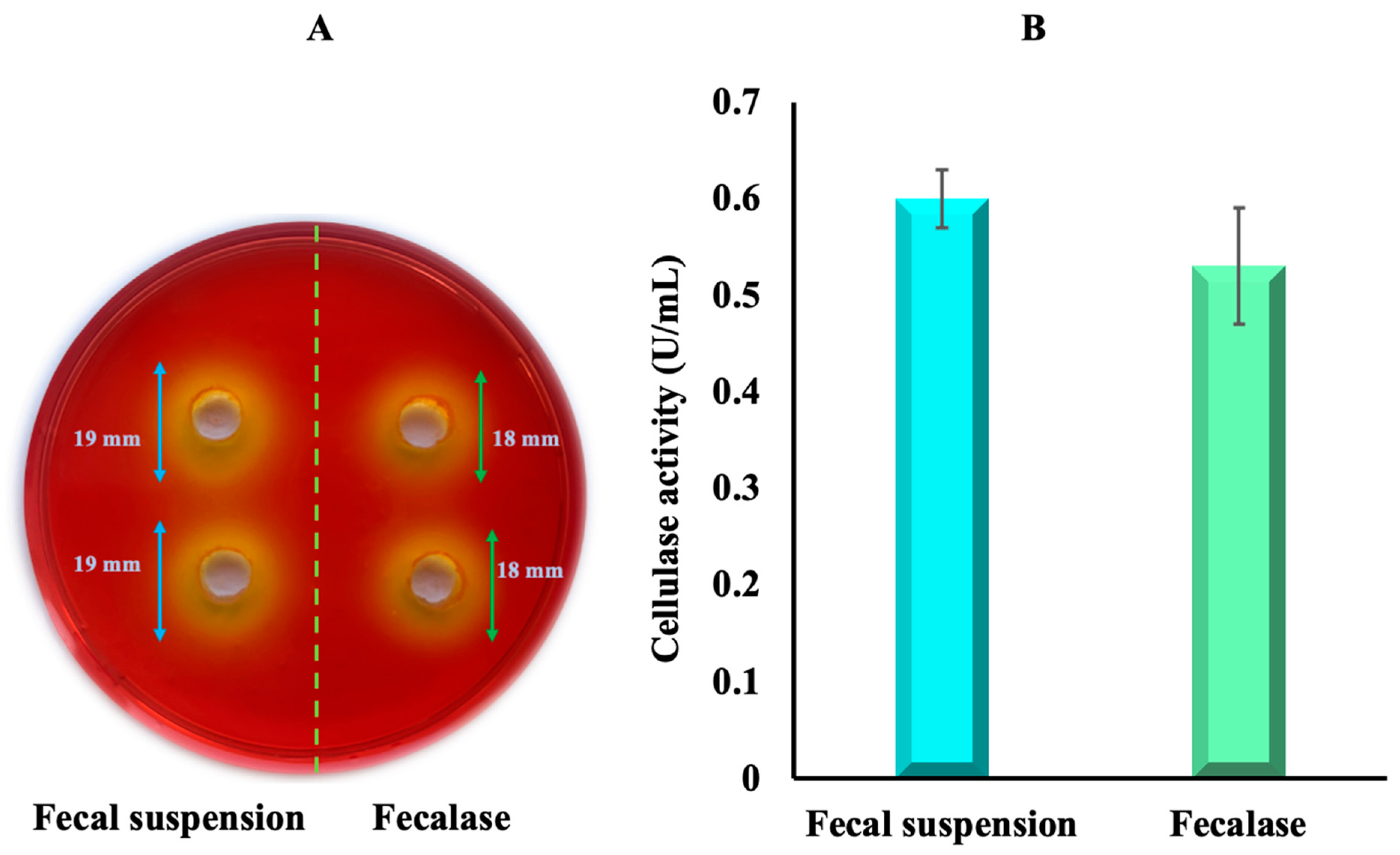 Polymers 16 00030 g007