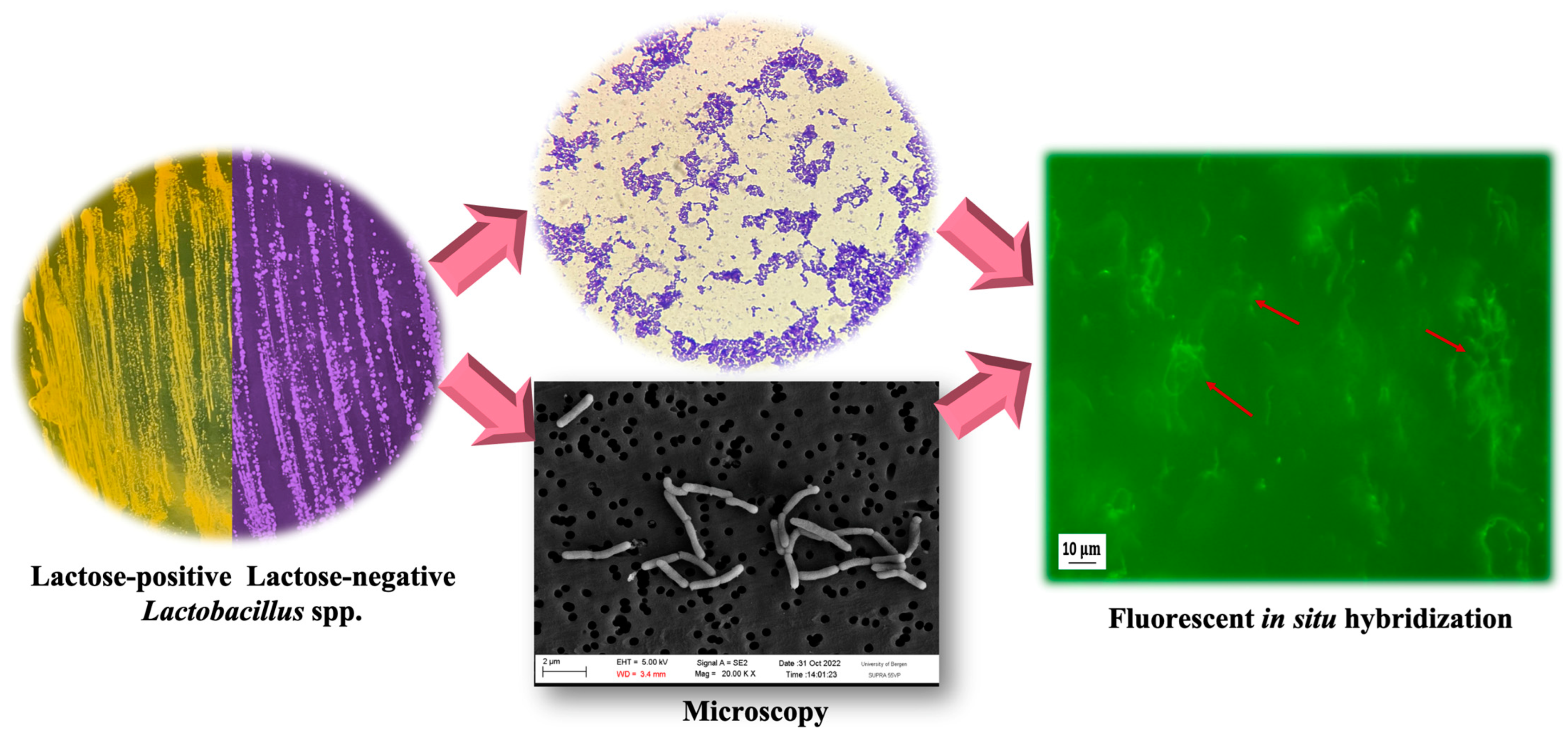 Polymers 16 00030 g009