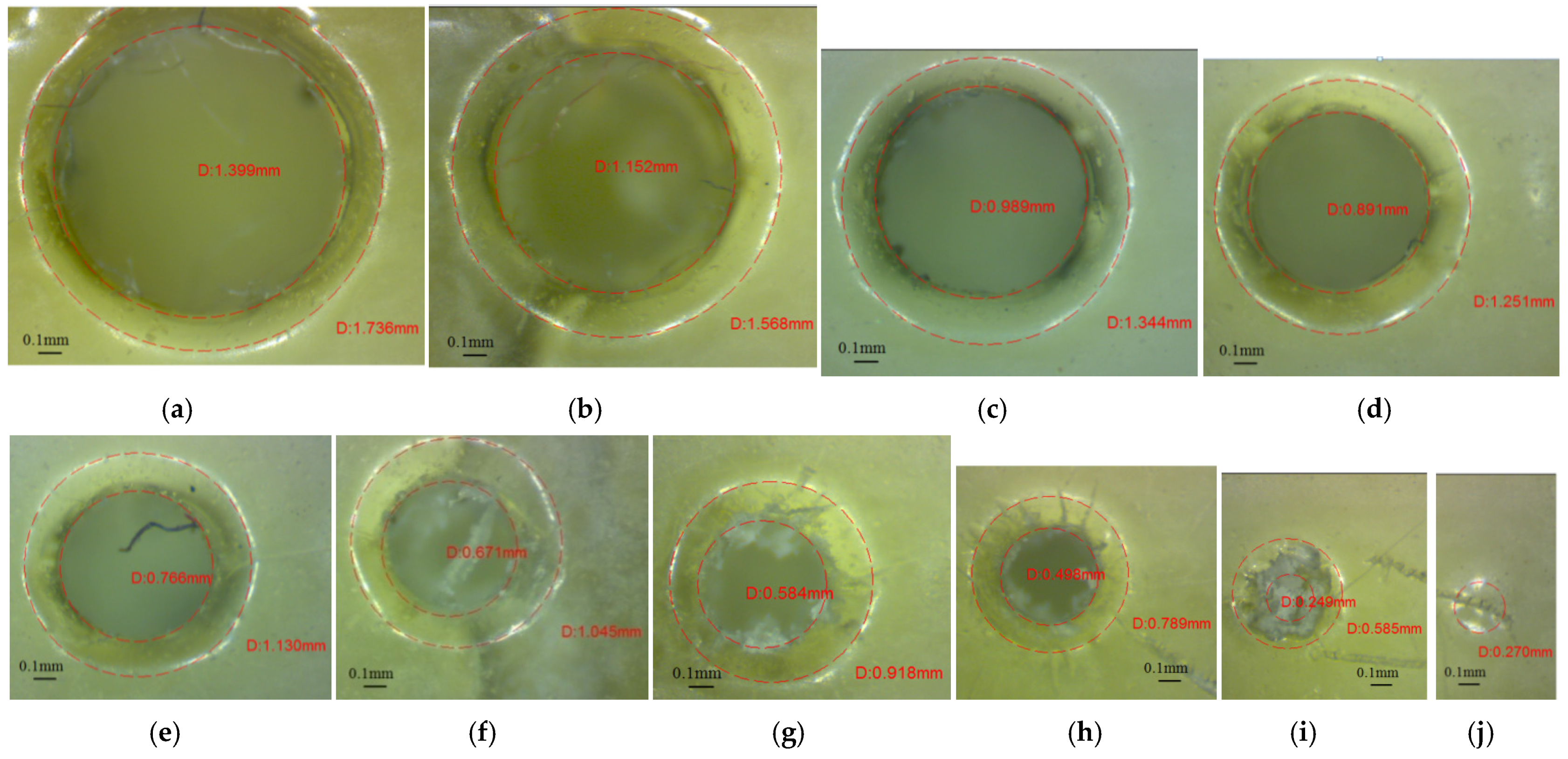 Polymers 16 00032 g009