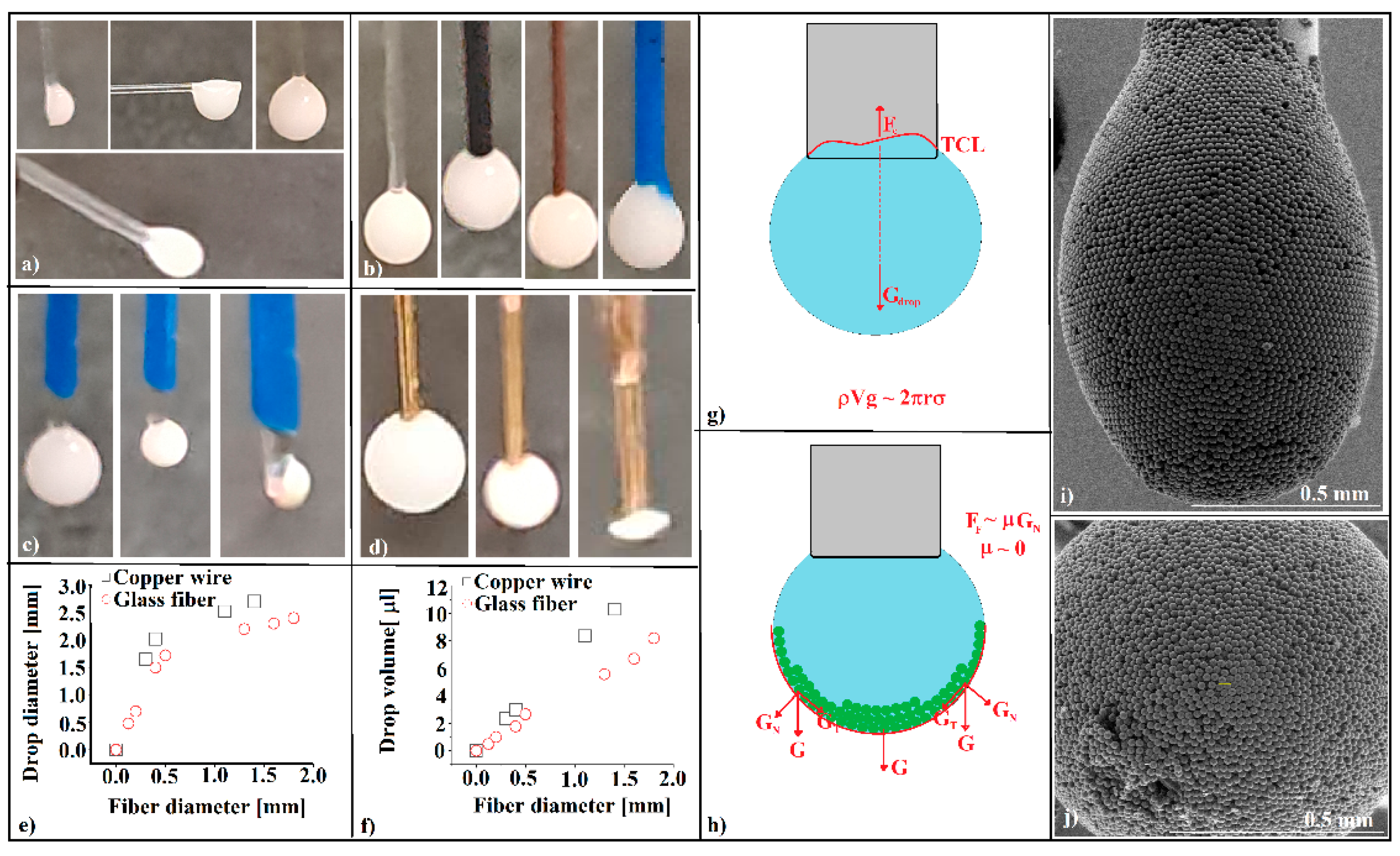 Polymers 16 00033 g001