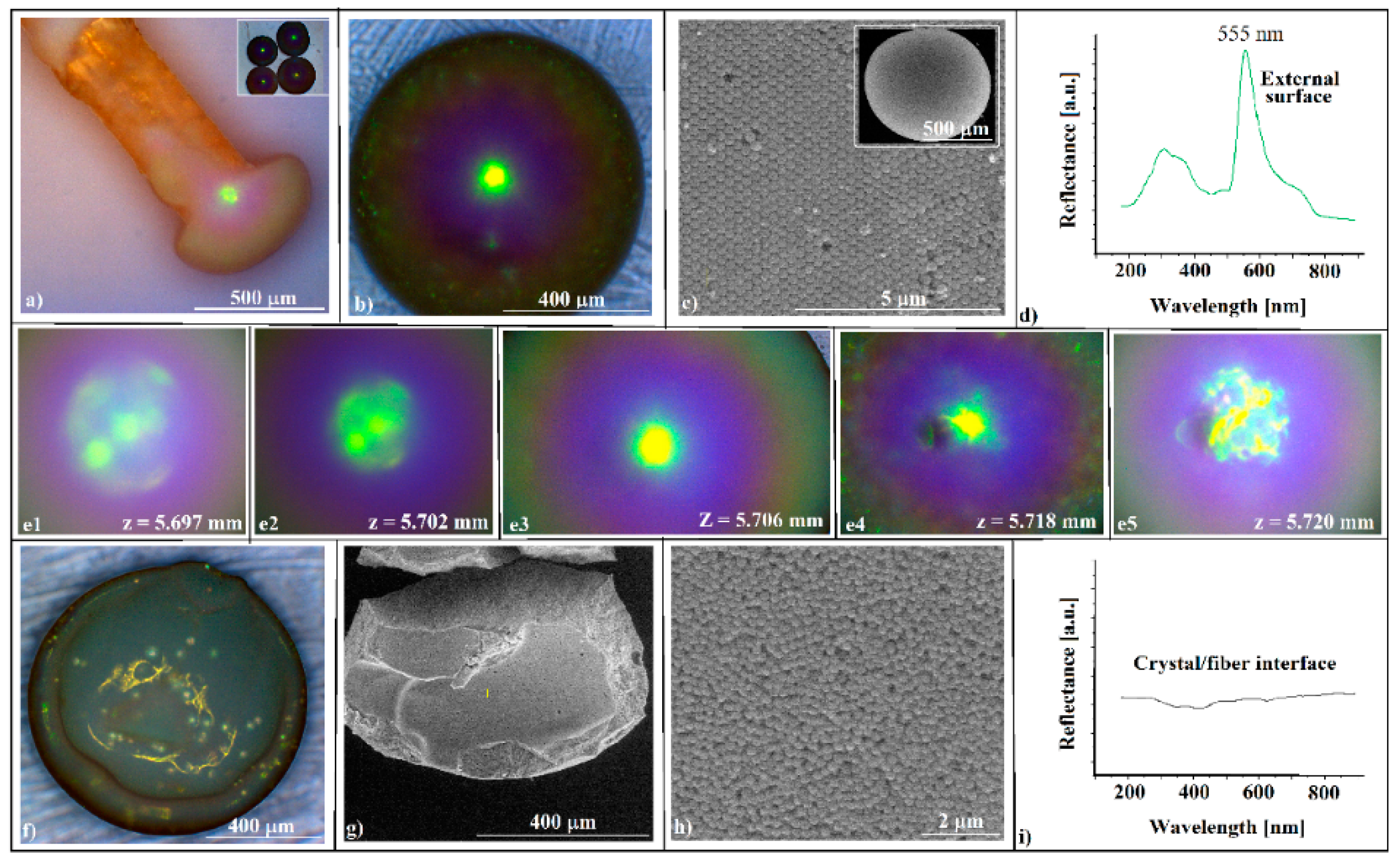 Polymers 16 00033 g002