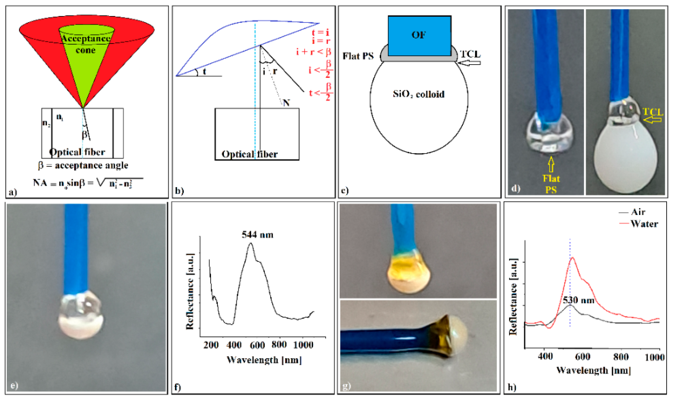 Polymers 16 00033 g007