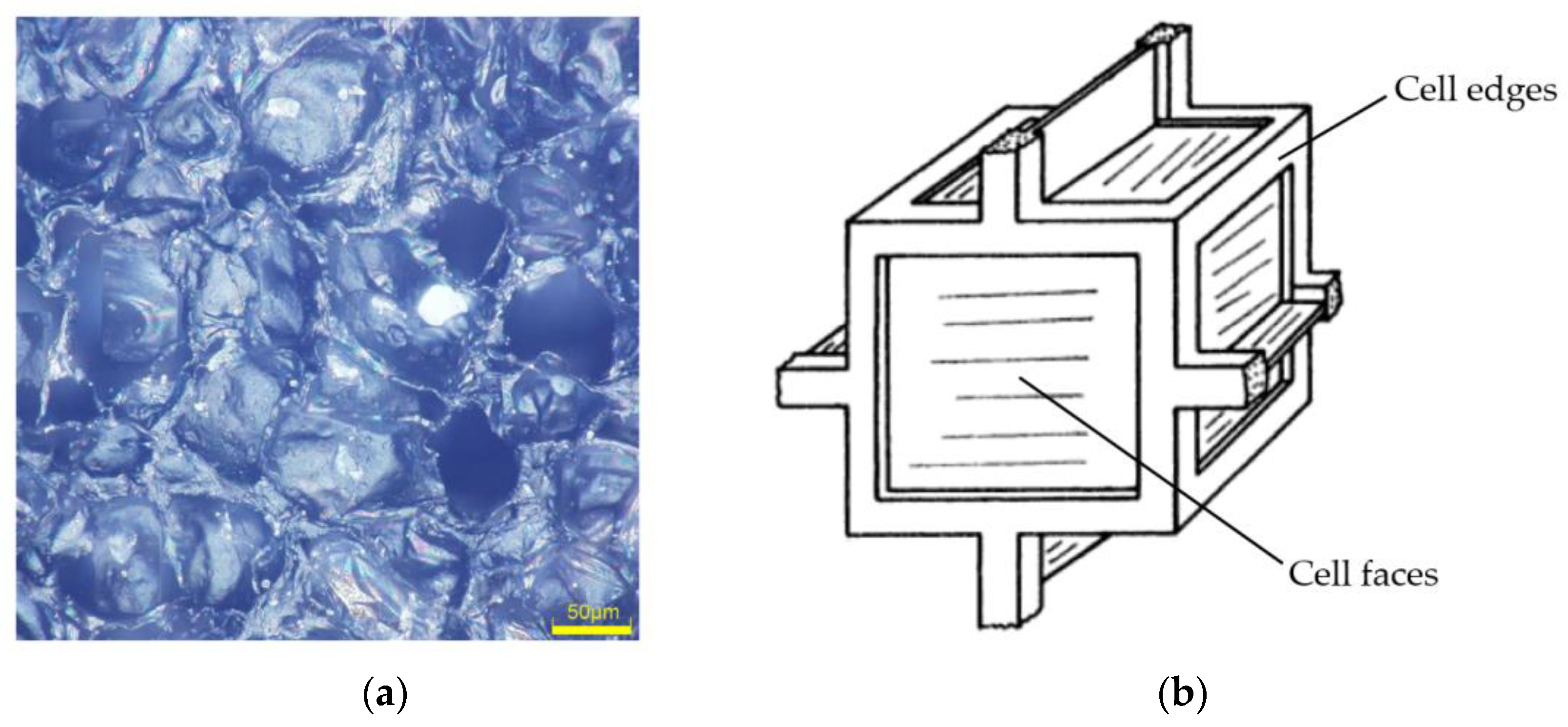 Polymers 16 00034 g004
