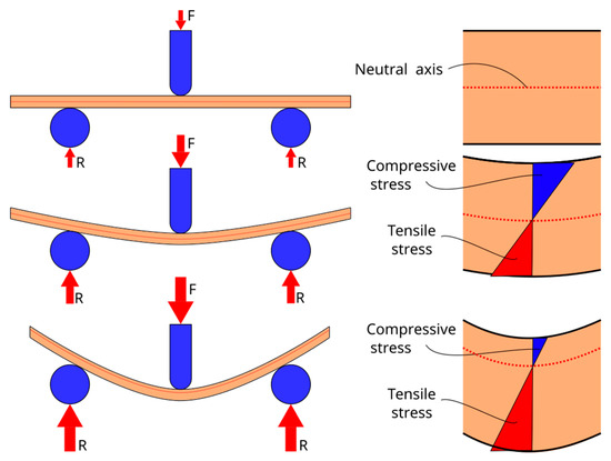 White matter microstructure and cognitive decline in