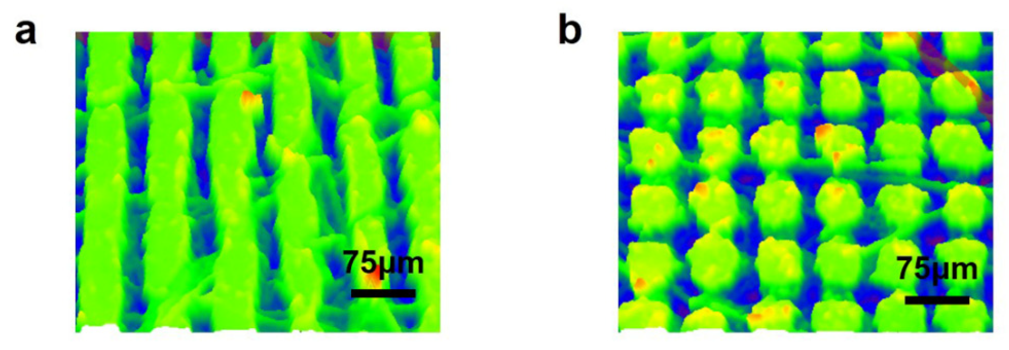 Polymers 16 00043 g008