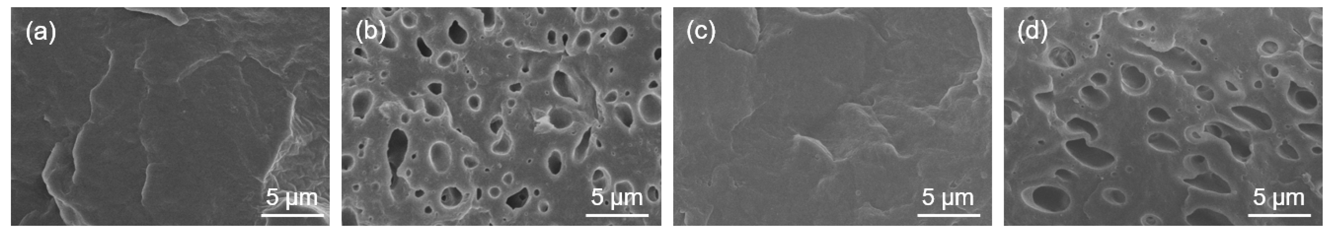 Polymers 16 00046 g002