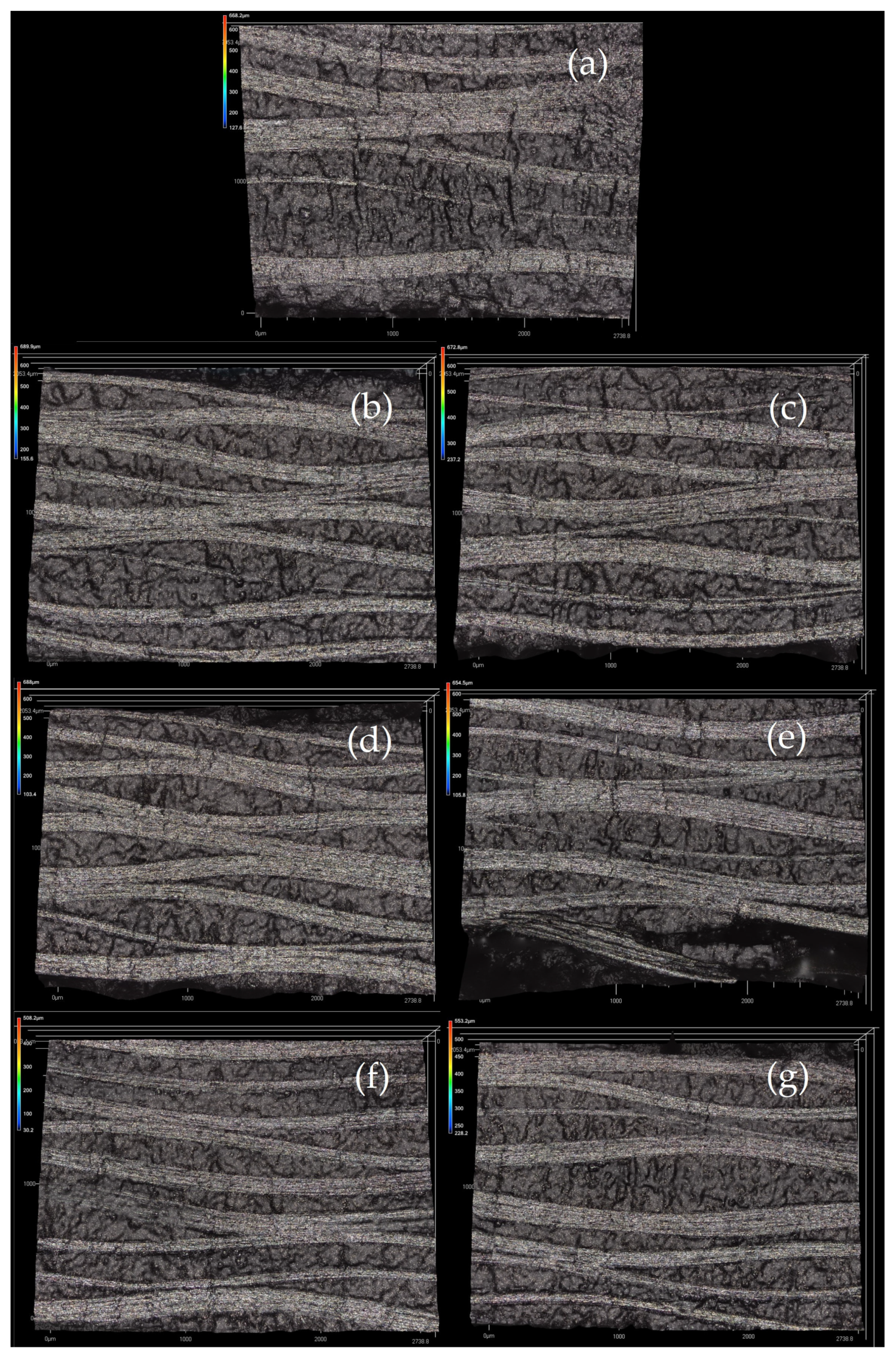 Polymers 16 00047 g009