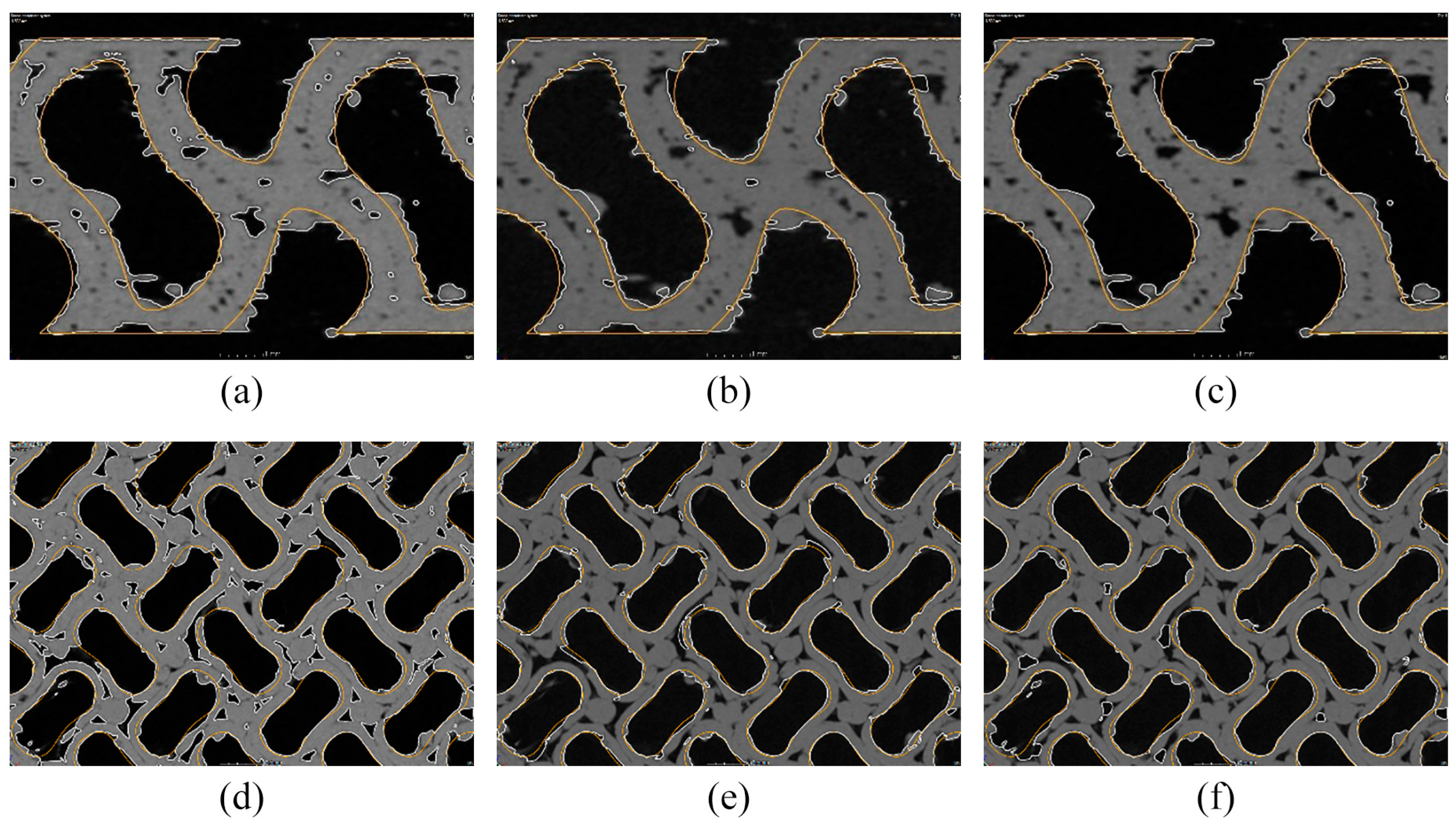 Polymers 16 00048 g008