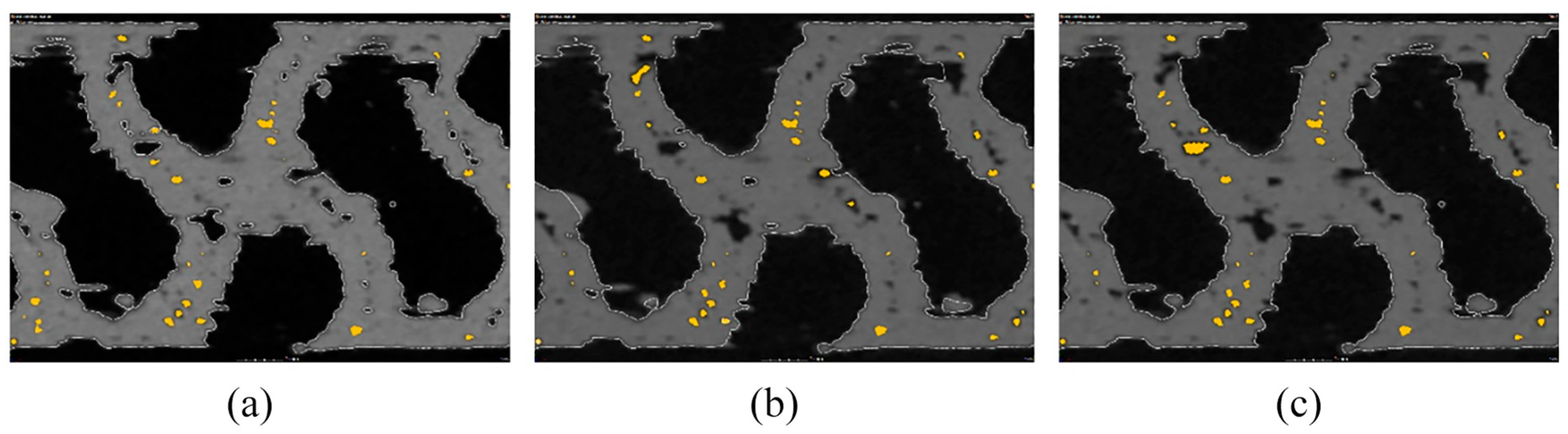 Polymers 16 00048 g012
