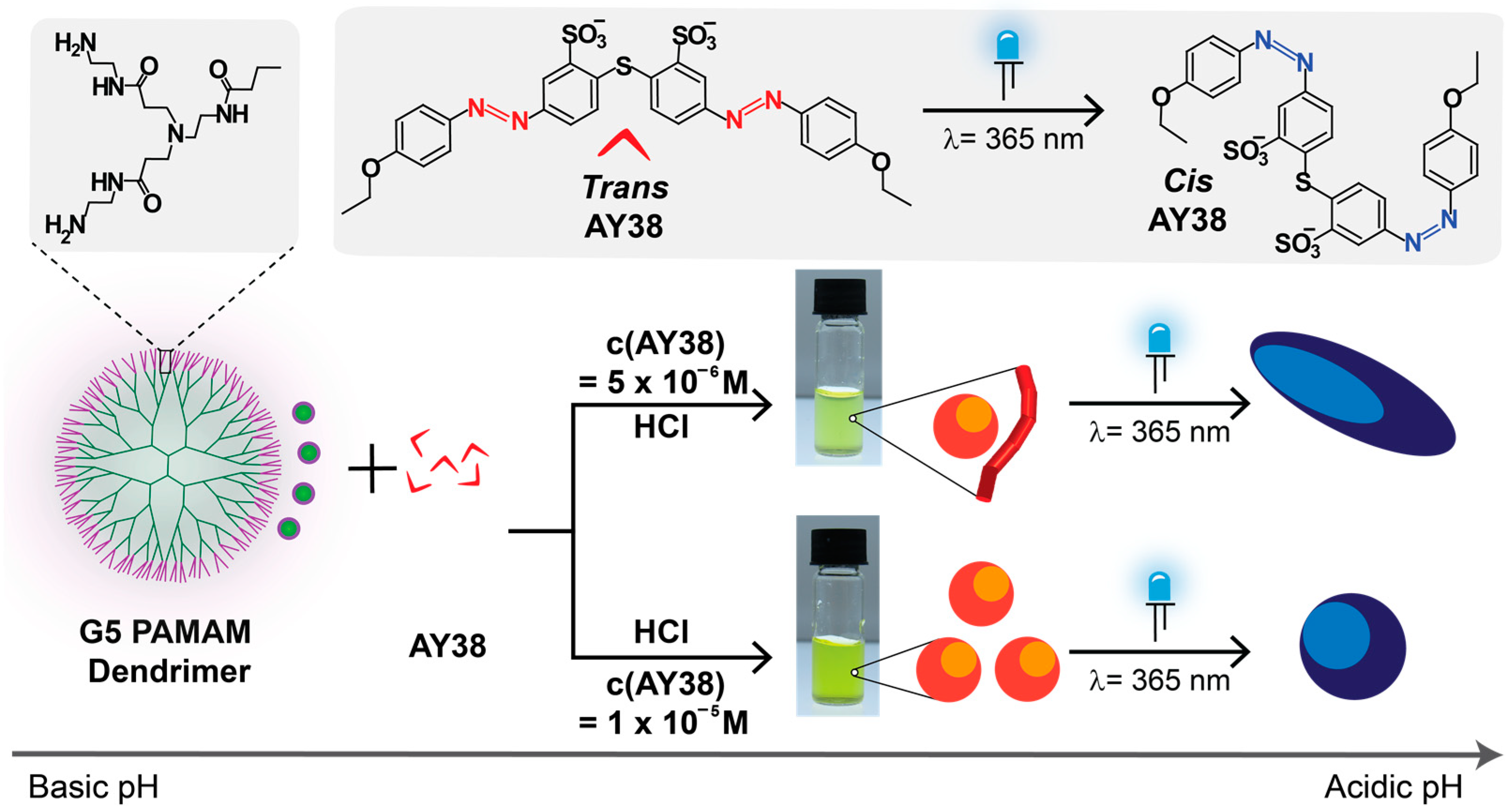 Polymers 16 00050 sch001