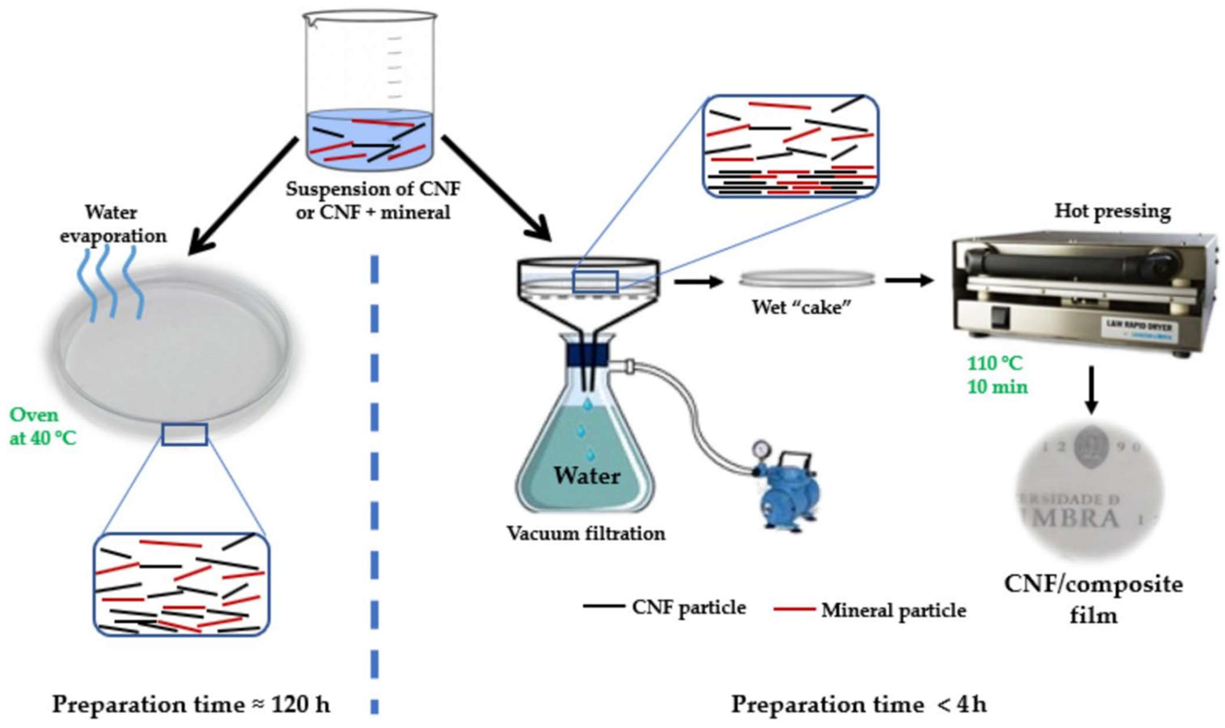 Polymers 16 00051 g007