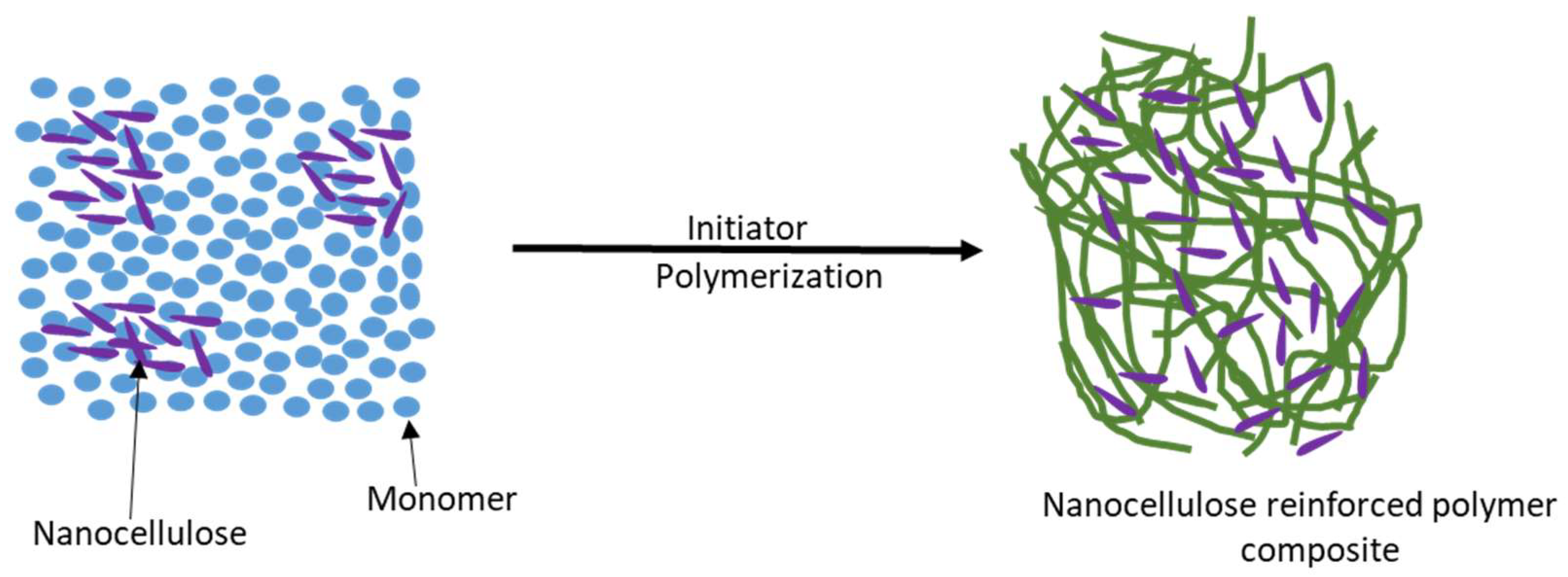 Polymers 16 00051 g009