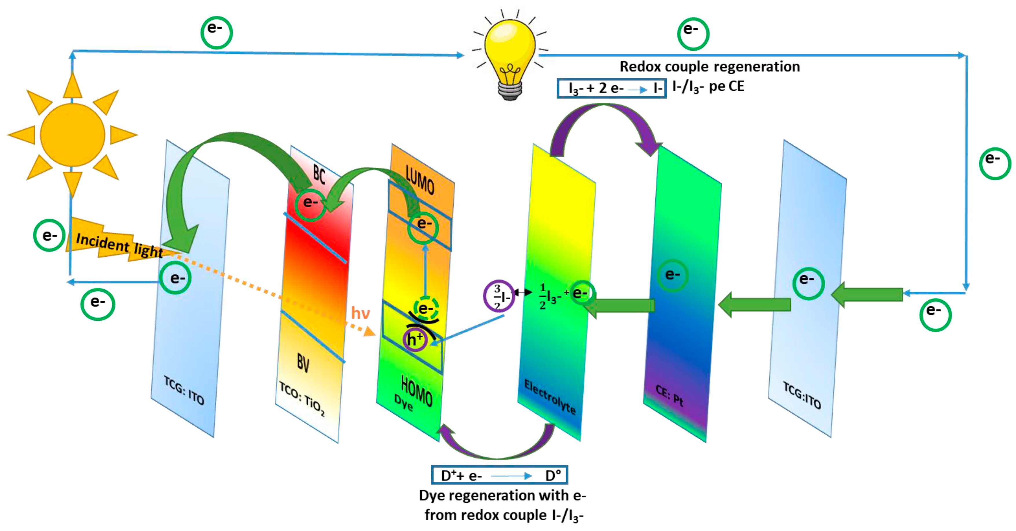 Polymers 16 00053 g001