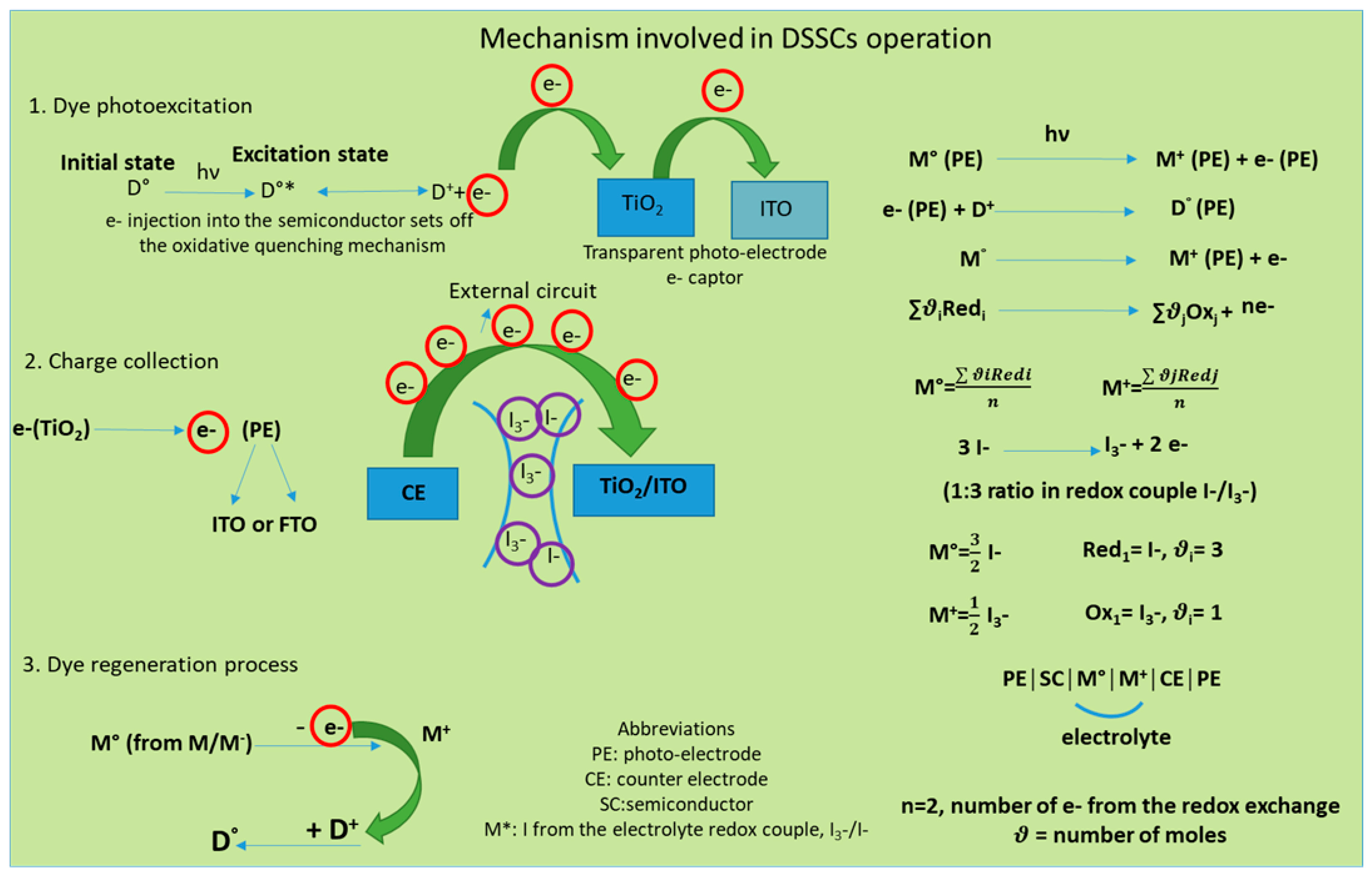 Polymers 16 00053 g002