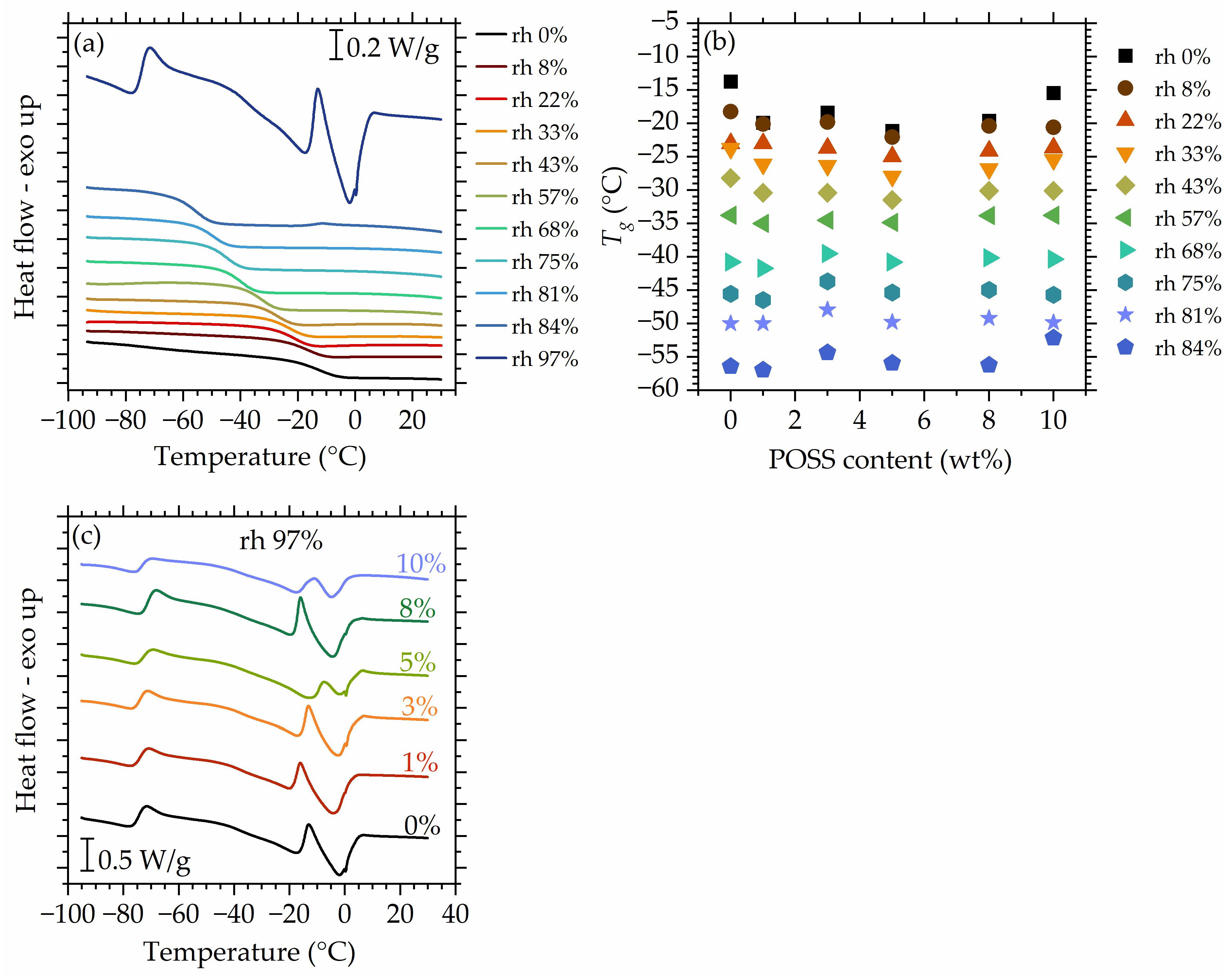 Polymers 16 00057 g009
