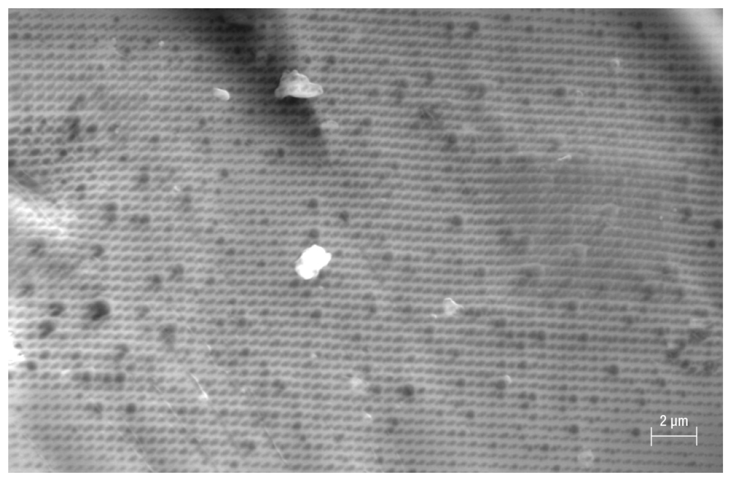 Polymers 16 00058 g002