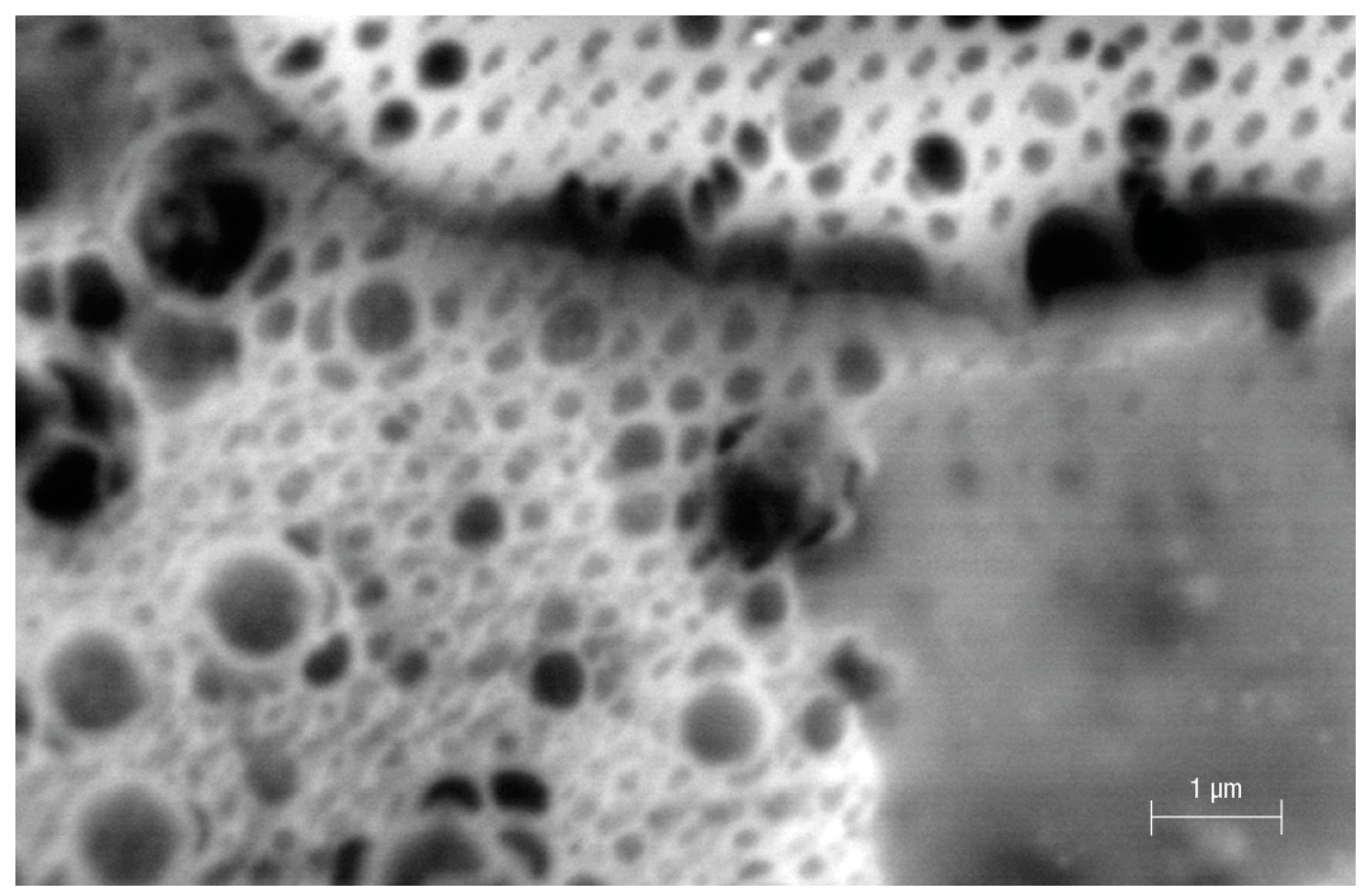 Polymers 16 00058 g003