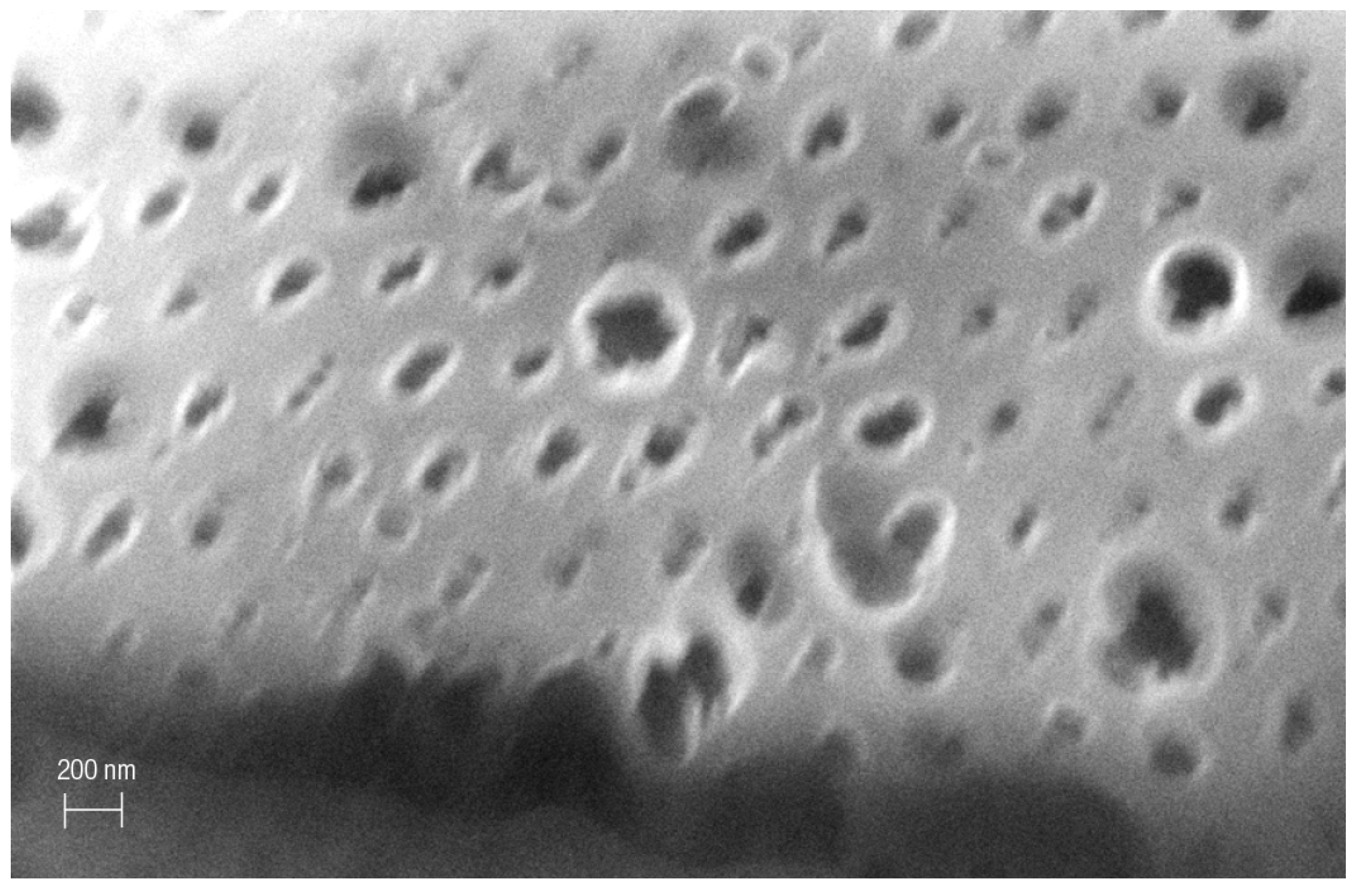 Polymers 16 00058 g004