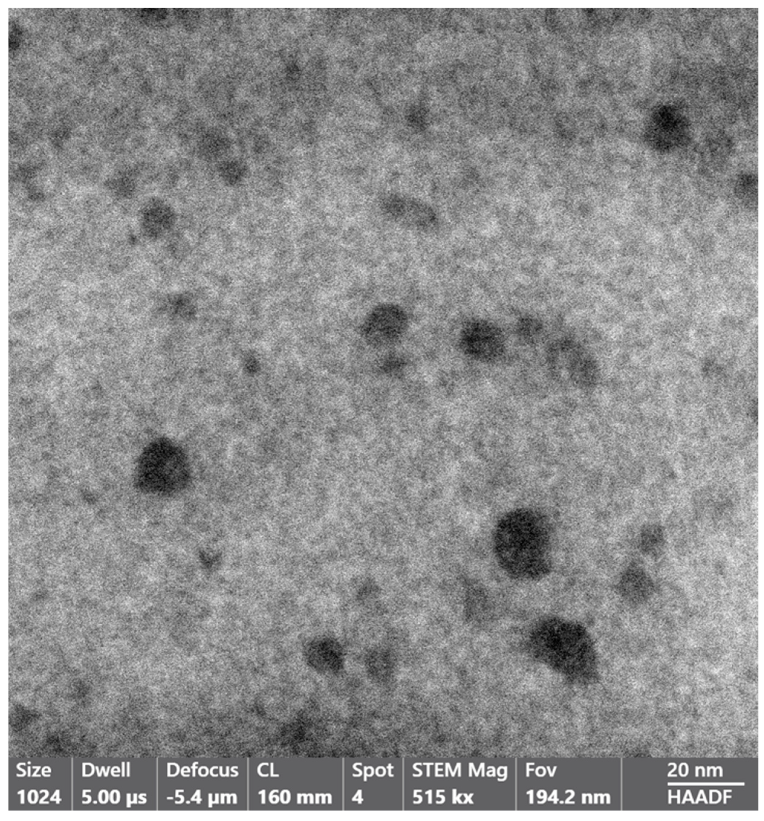 Polymers 16 00058 g005