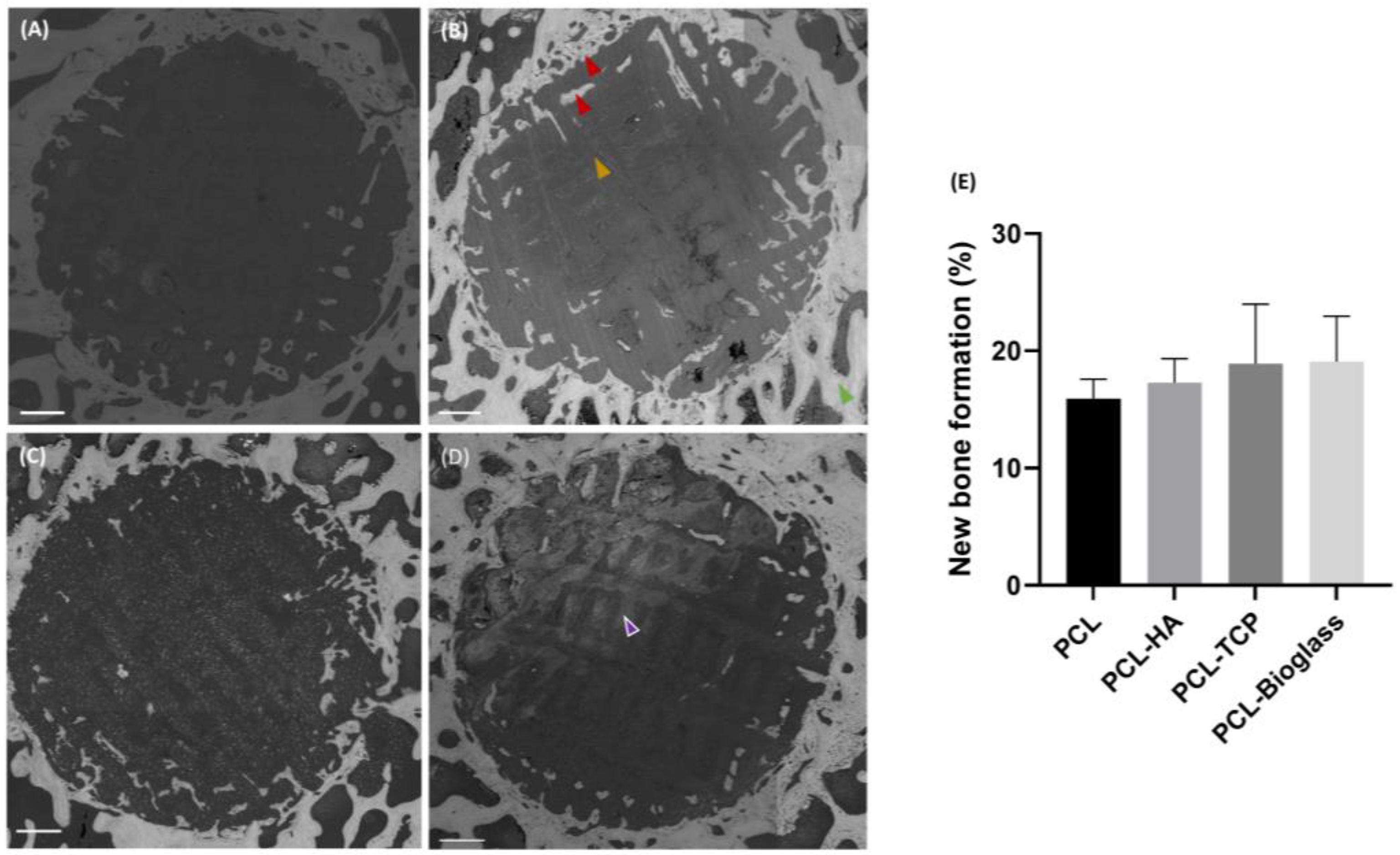 Polymers 16 00066 g004