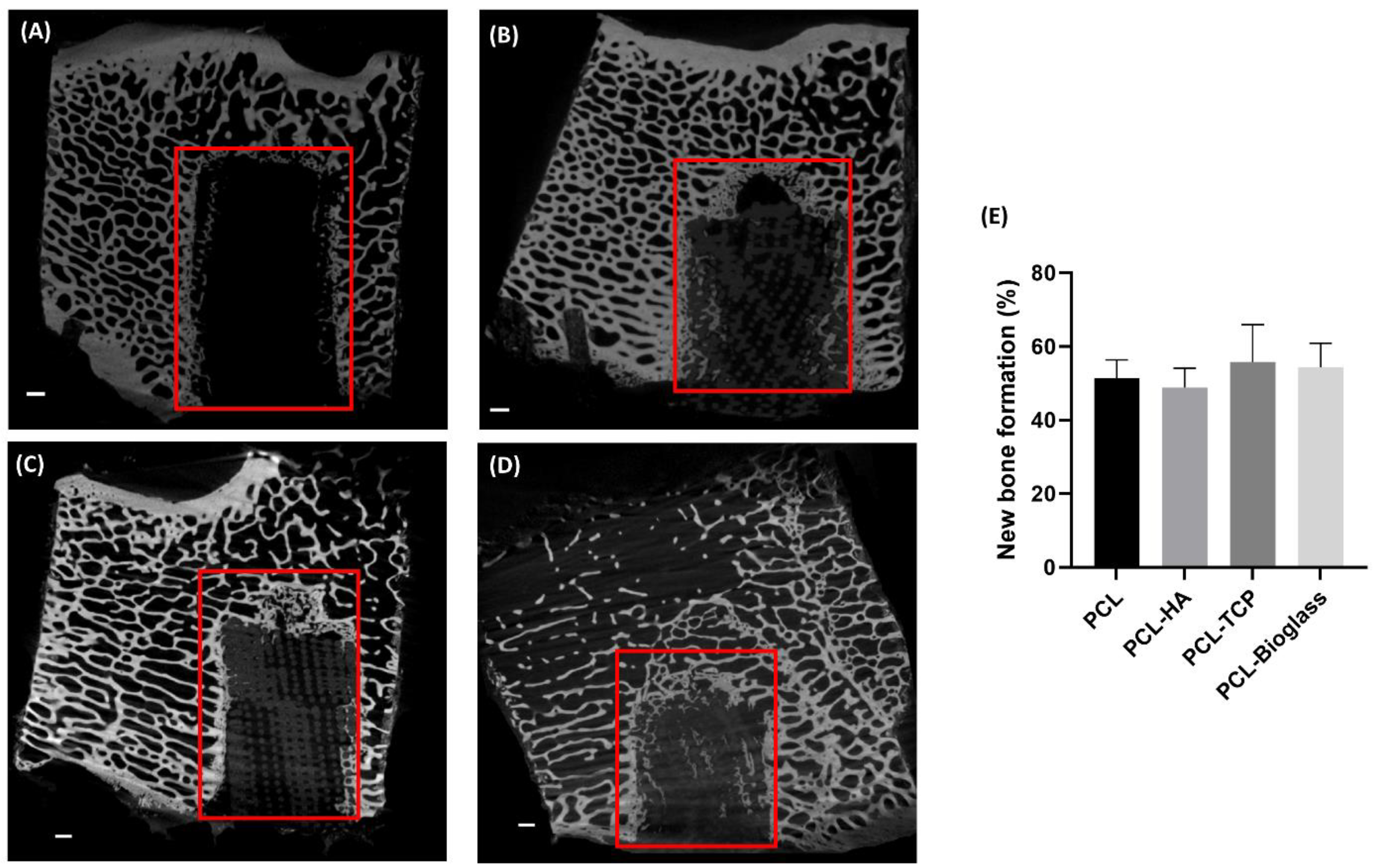 Polymers 16 00066 g005