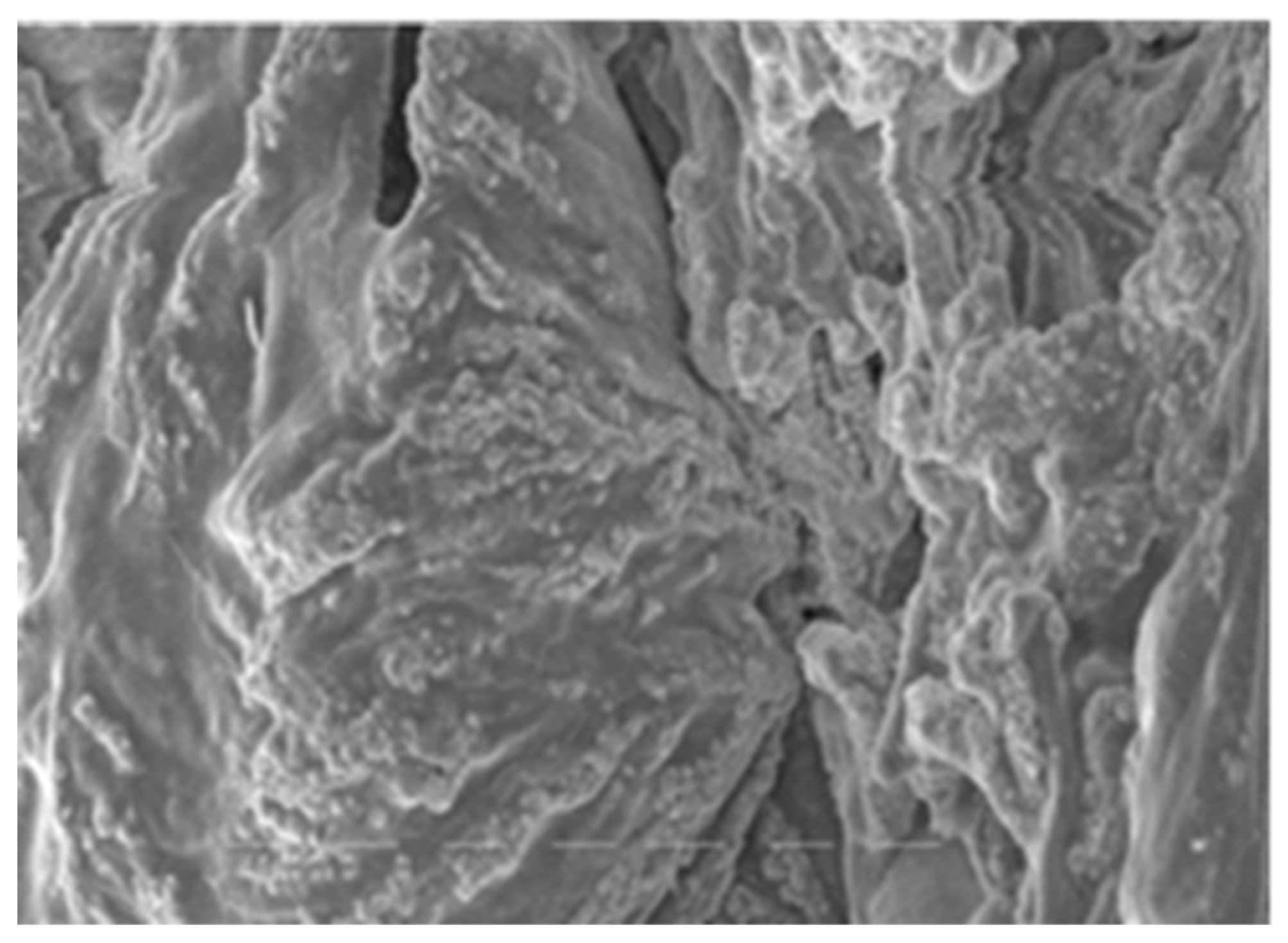 Polymers 16 00069 g002