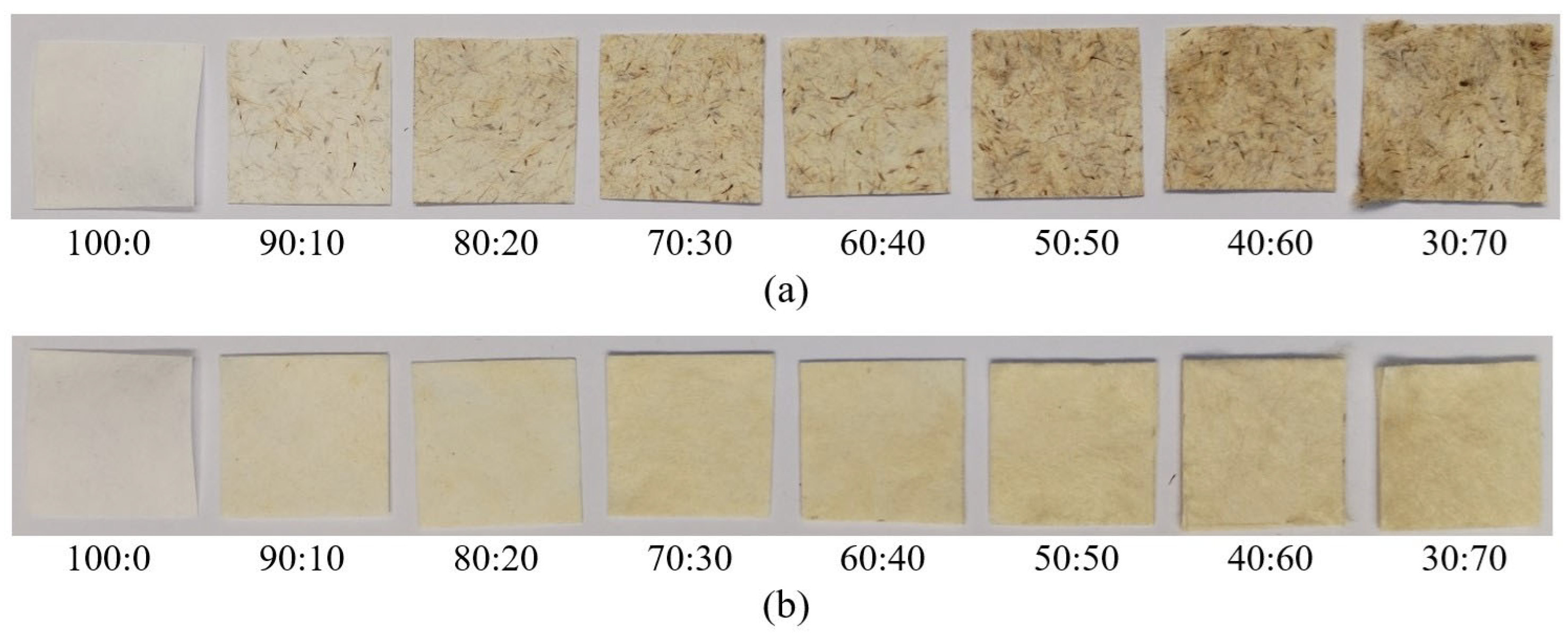Polymers 16 00076 g003