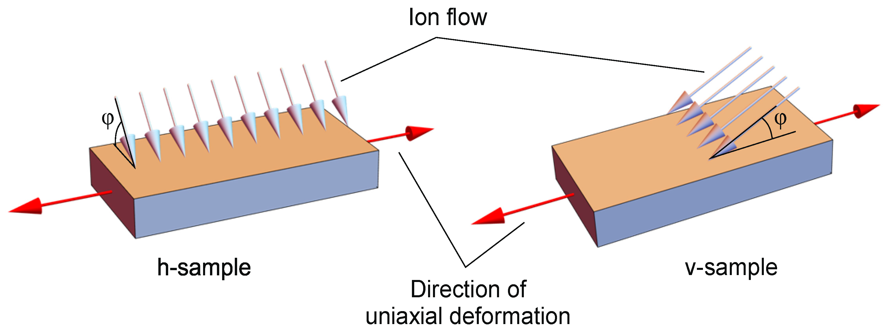 Polymers 16 00078 g002