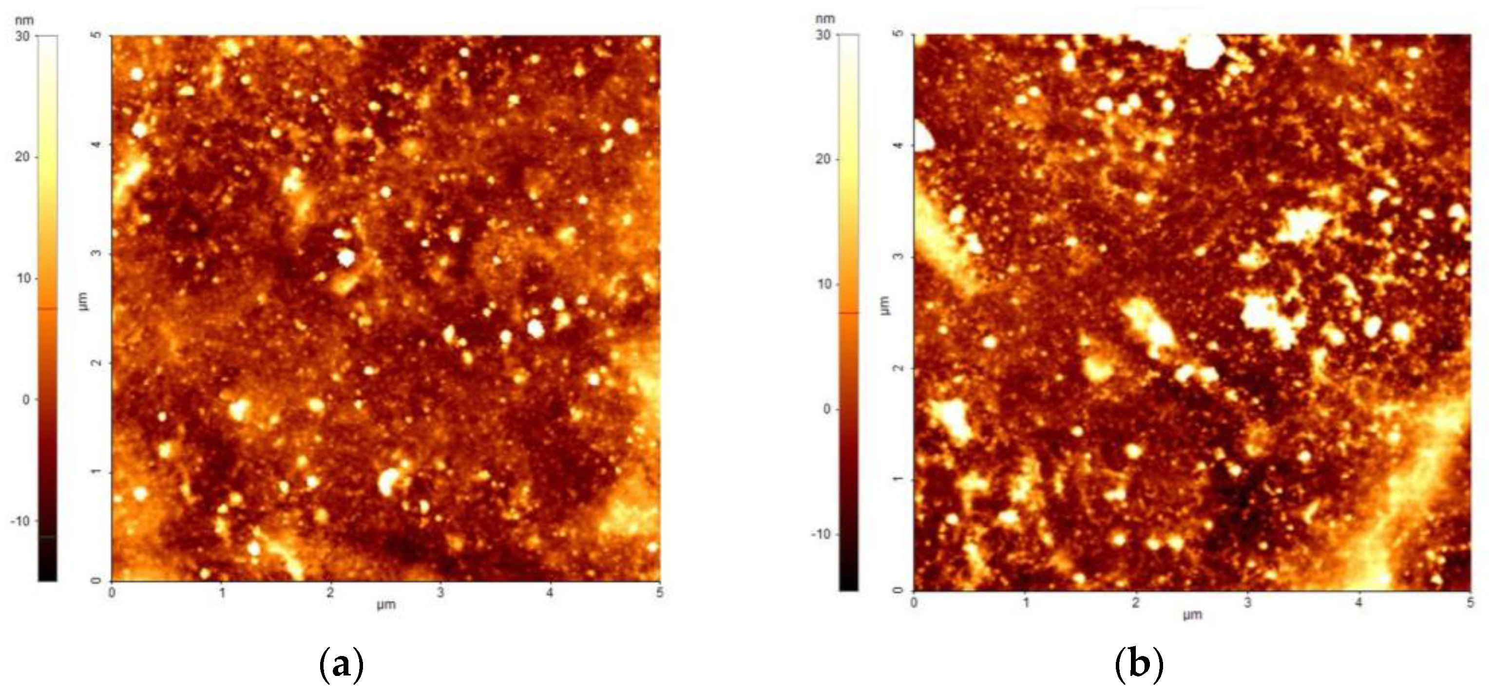 Polymers 16 00079 g006