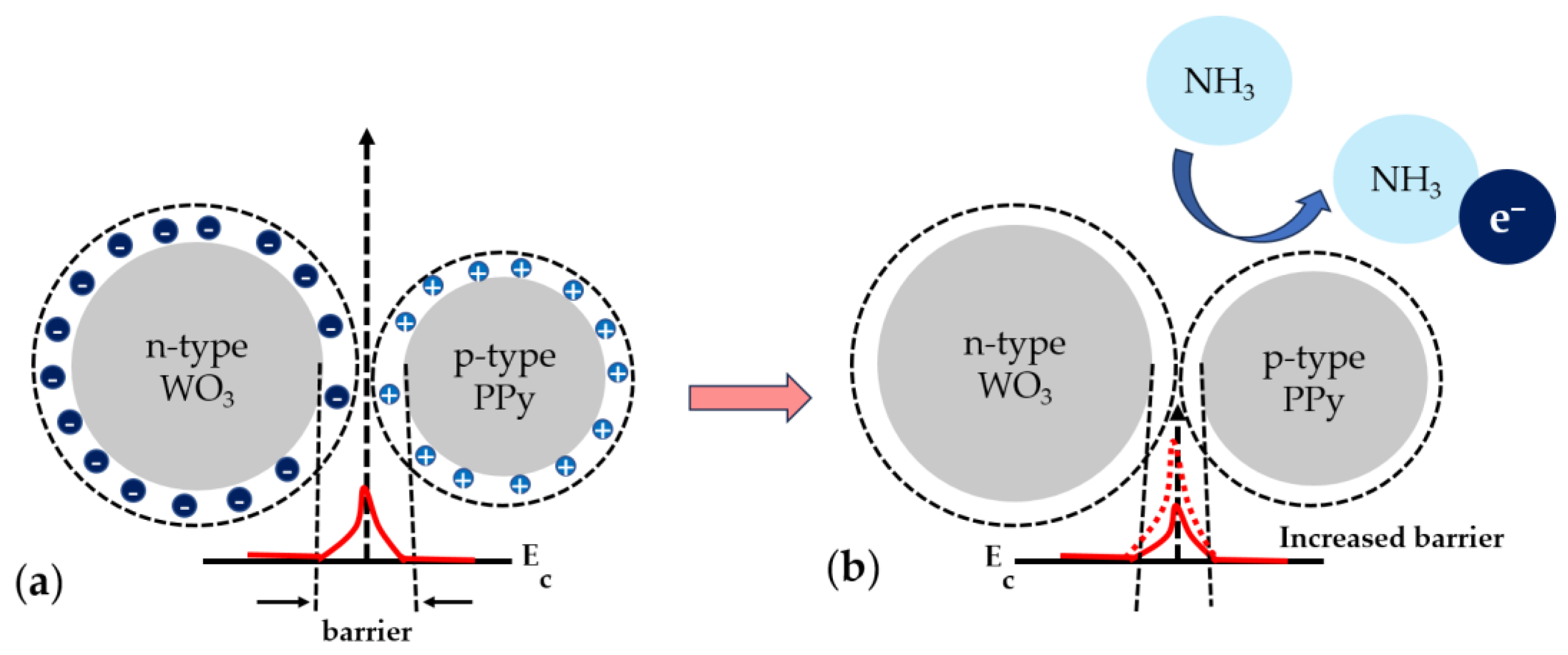 Polymers 16 00079 g010