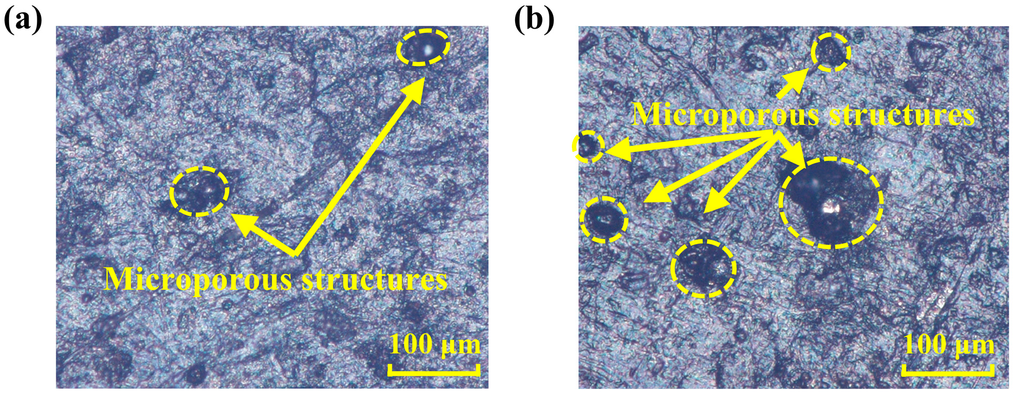 Polymers 16 00081 g004