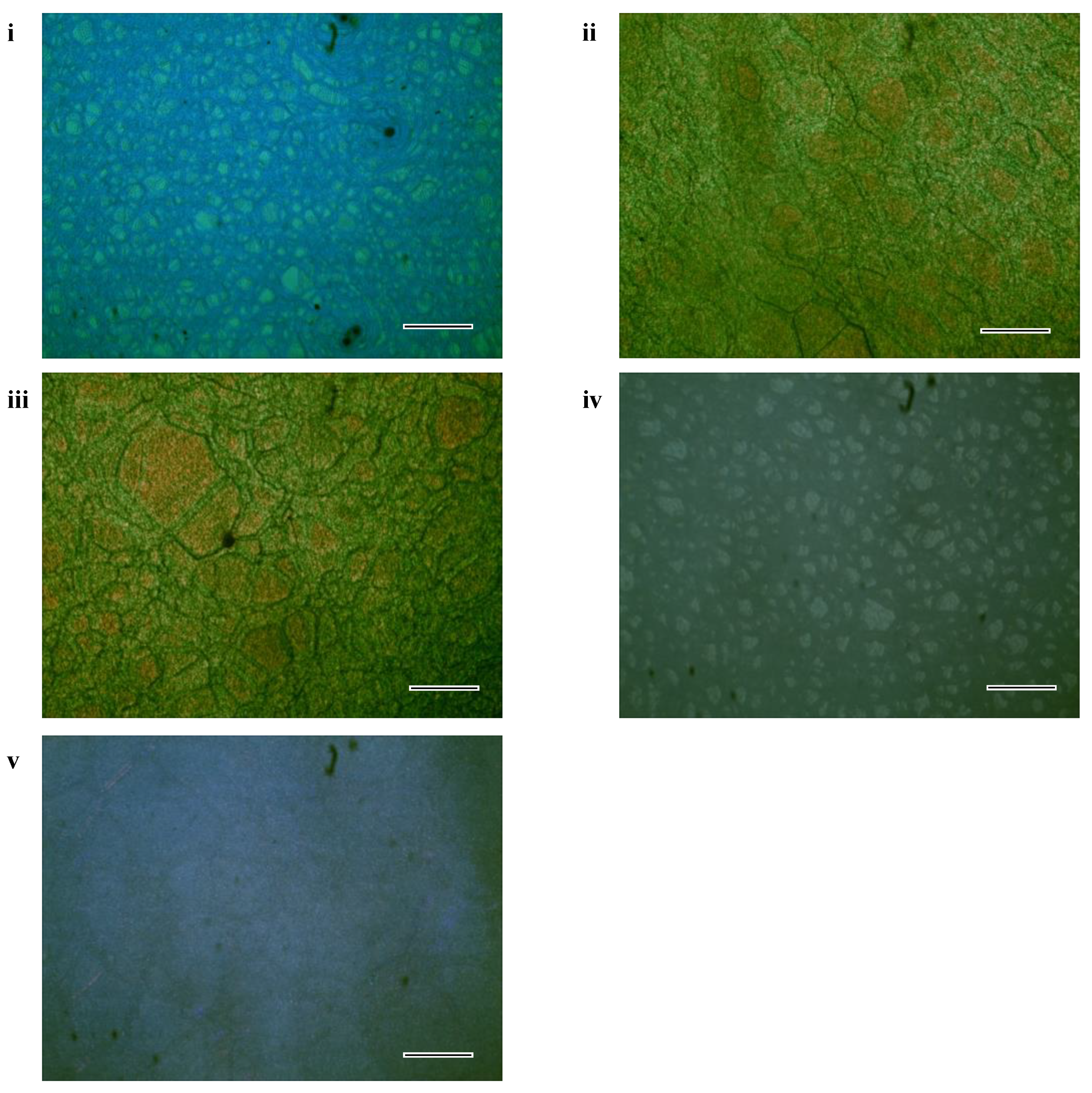 Polymers 16 00082 g003