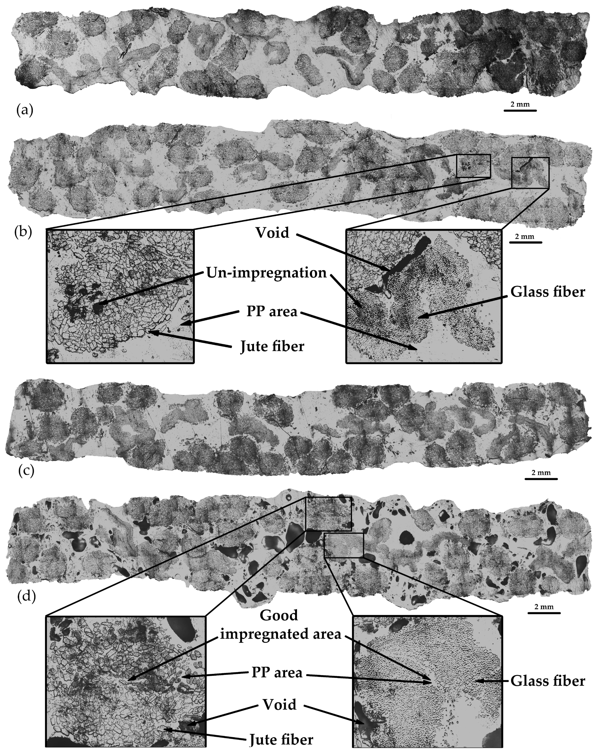 Polymers 16 00083 g006