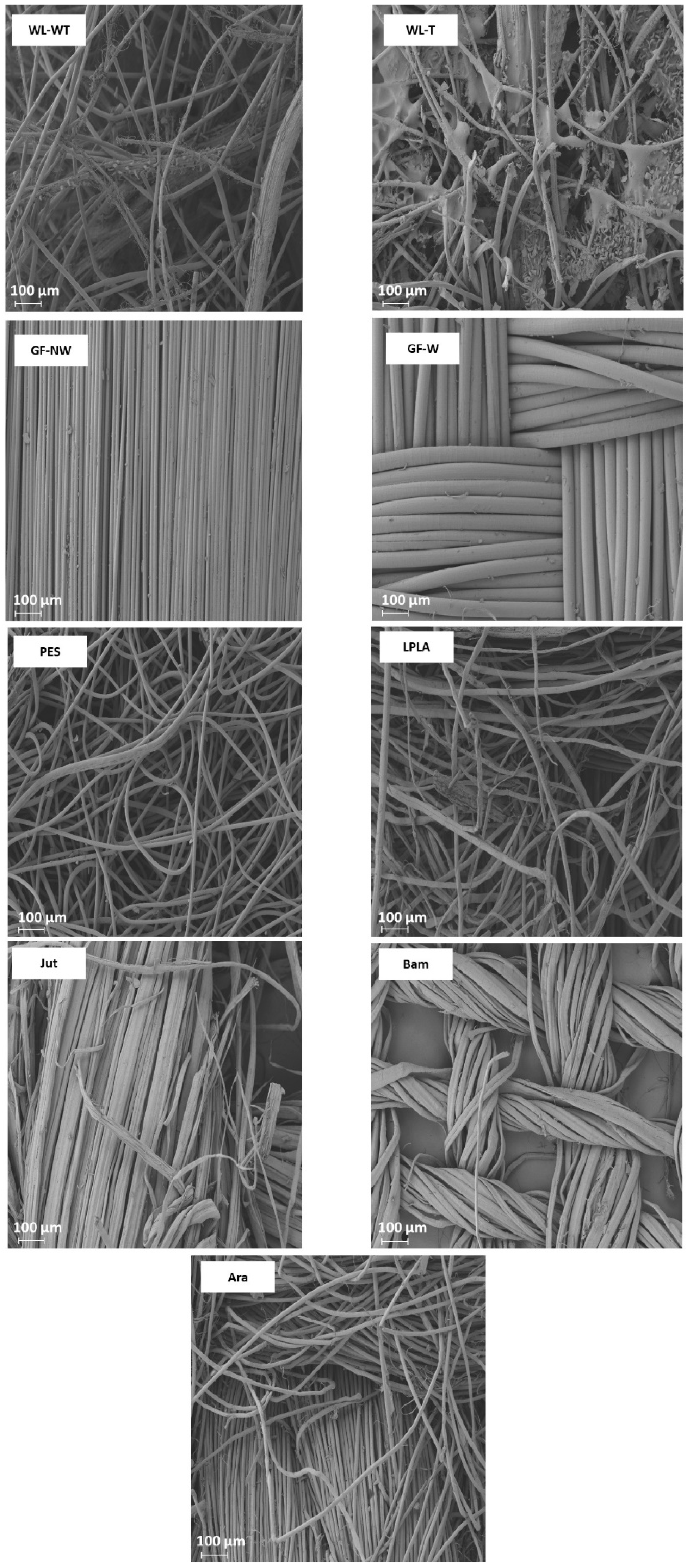 Polymers 16 00084 g004