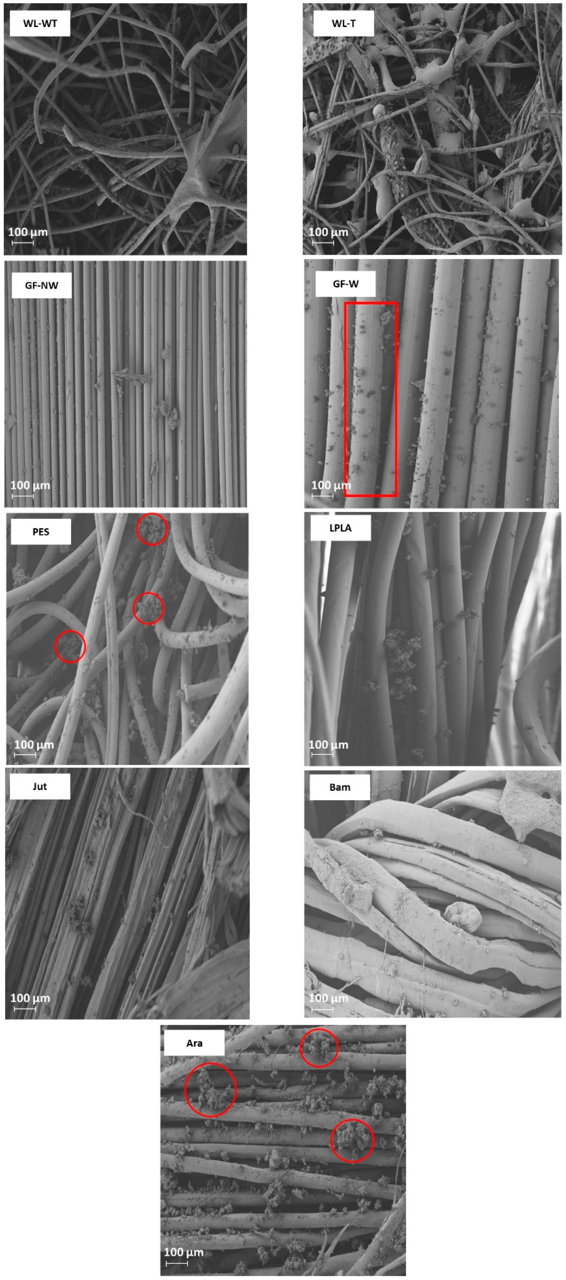 Polymers 16 00084 g006