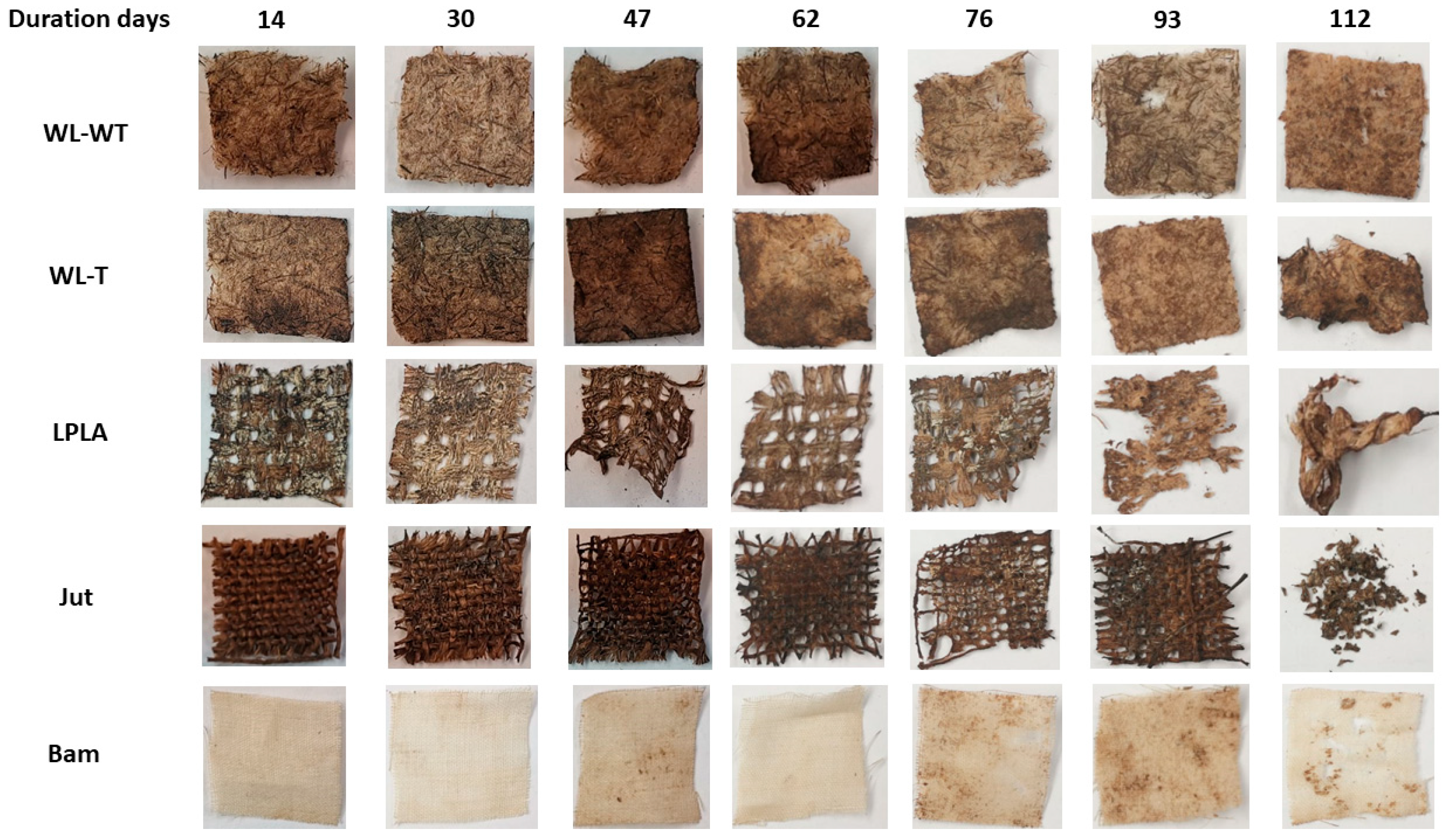 Polymers 16 00084 g010