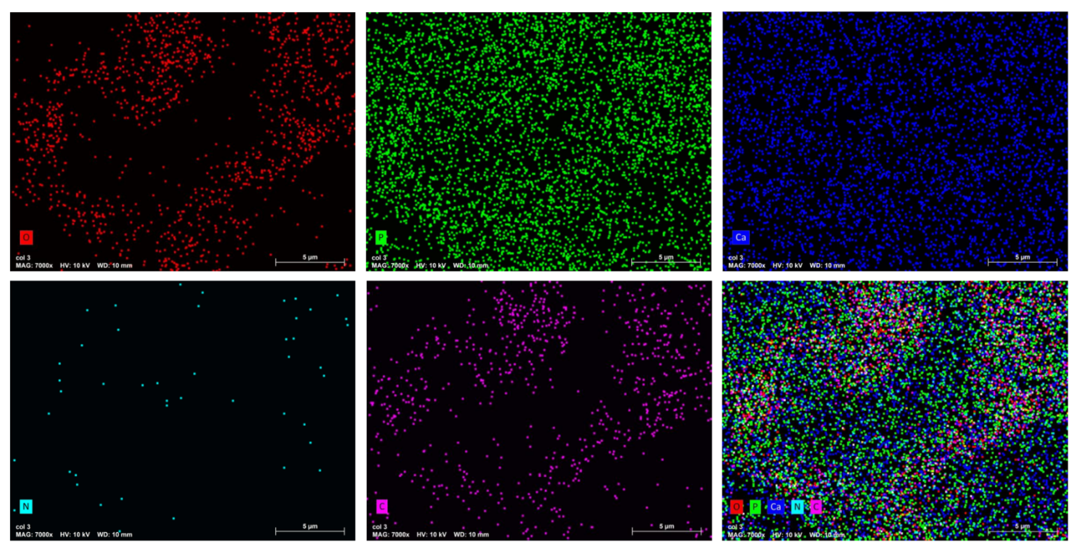 Polymers 16 00085 g007 Polymers 16 00085 g007