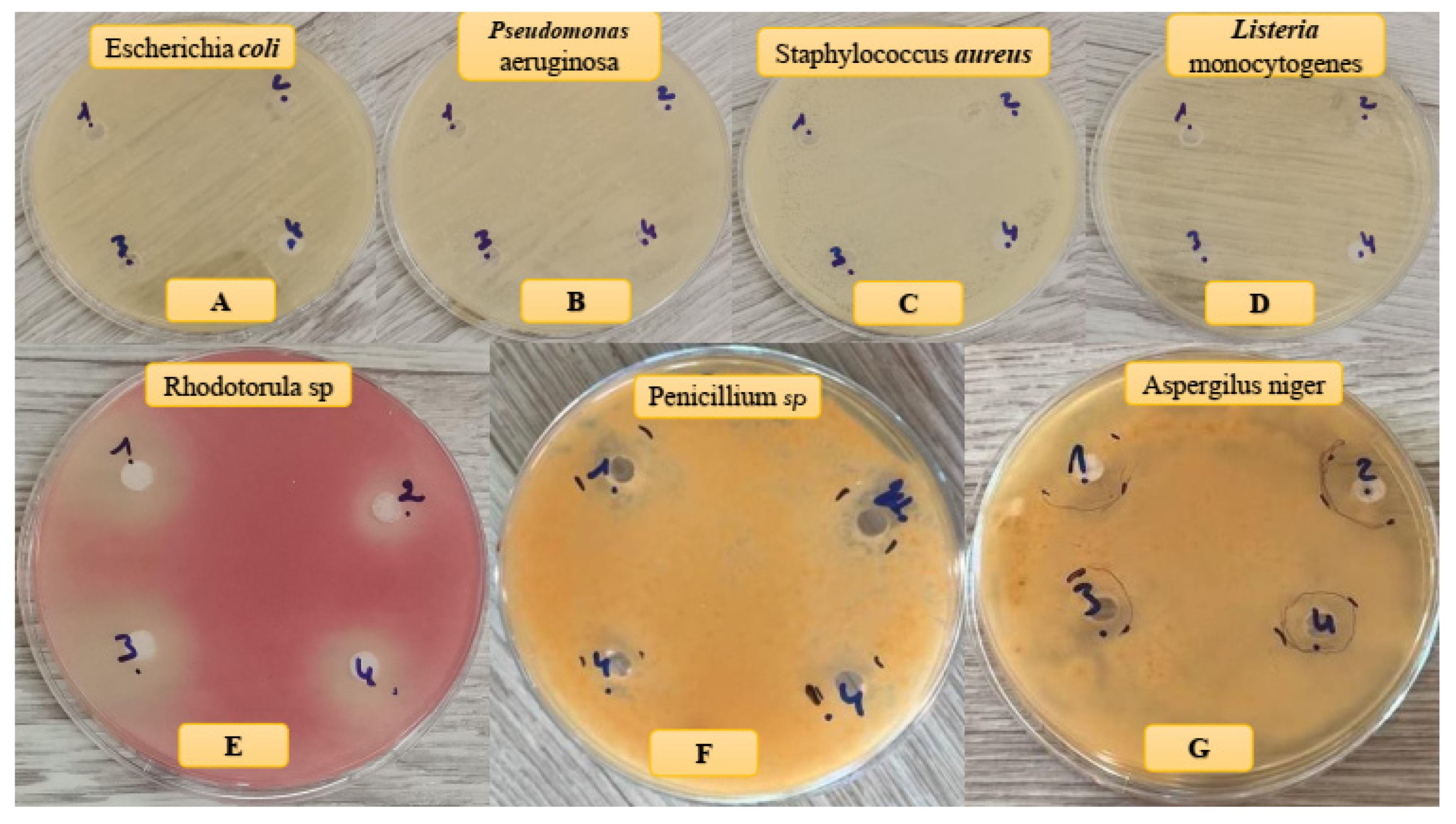Polymers 16 00085 g008 Polymers 16 00085 g008