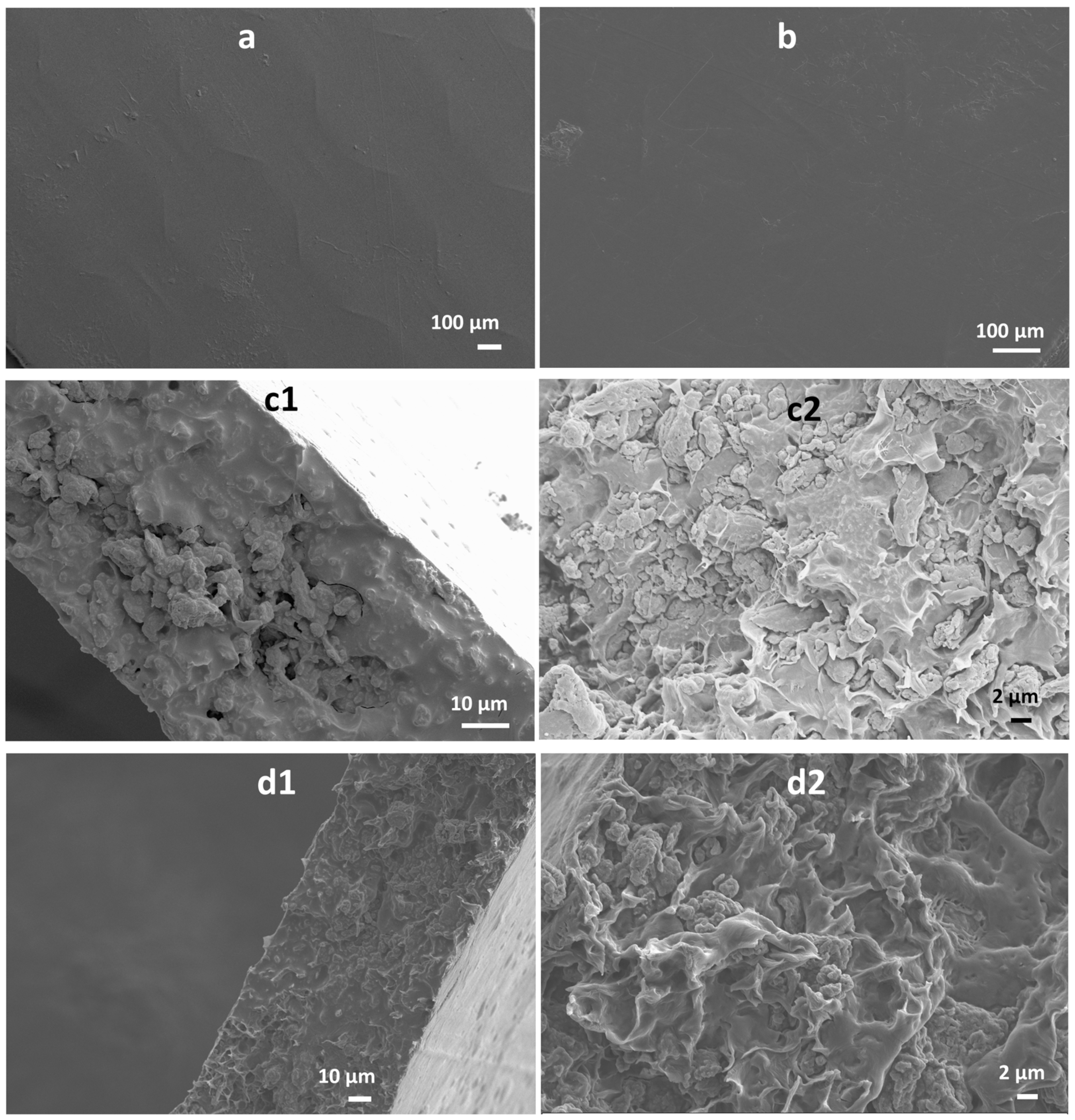 Polymers 16 00088 g004