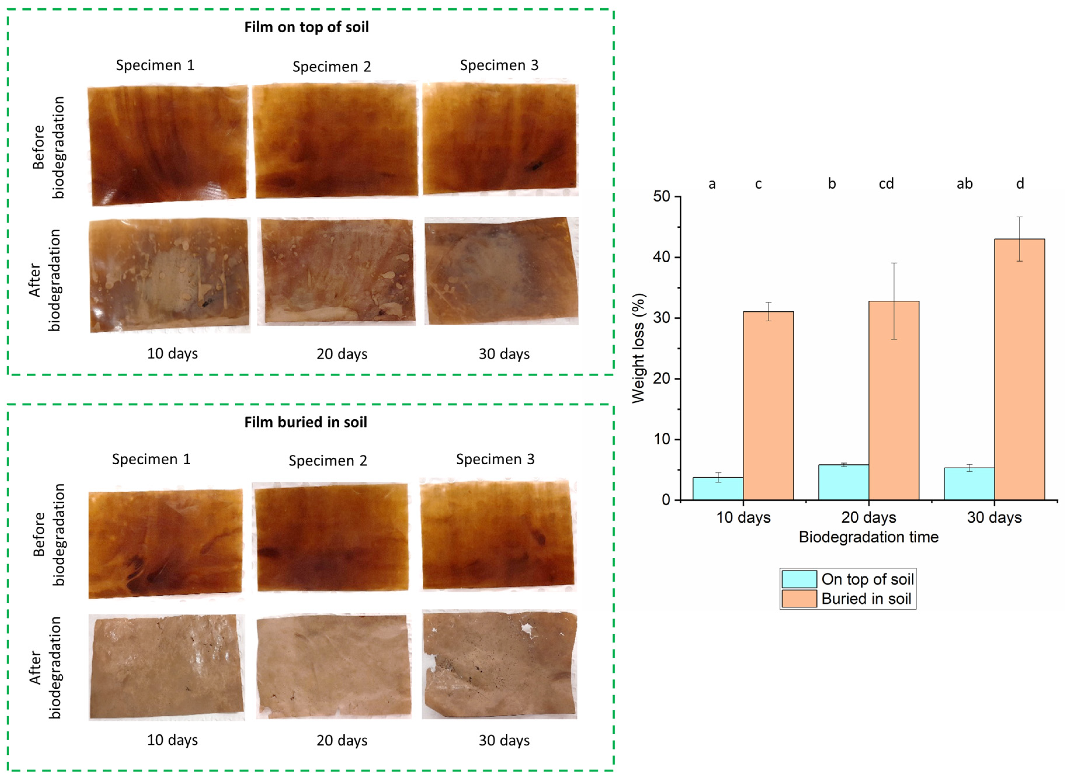 Polymers 16 00088 g008