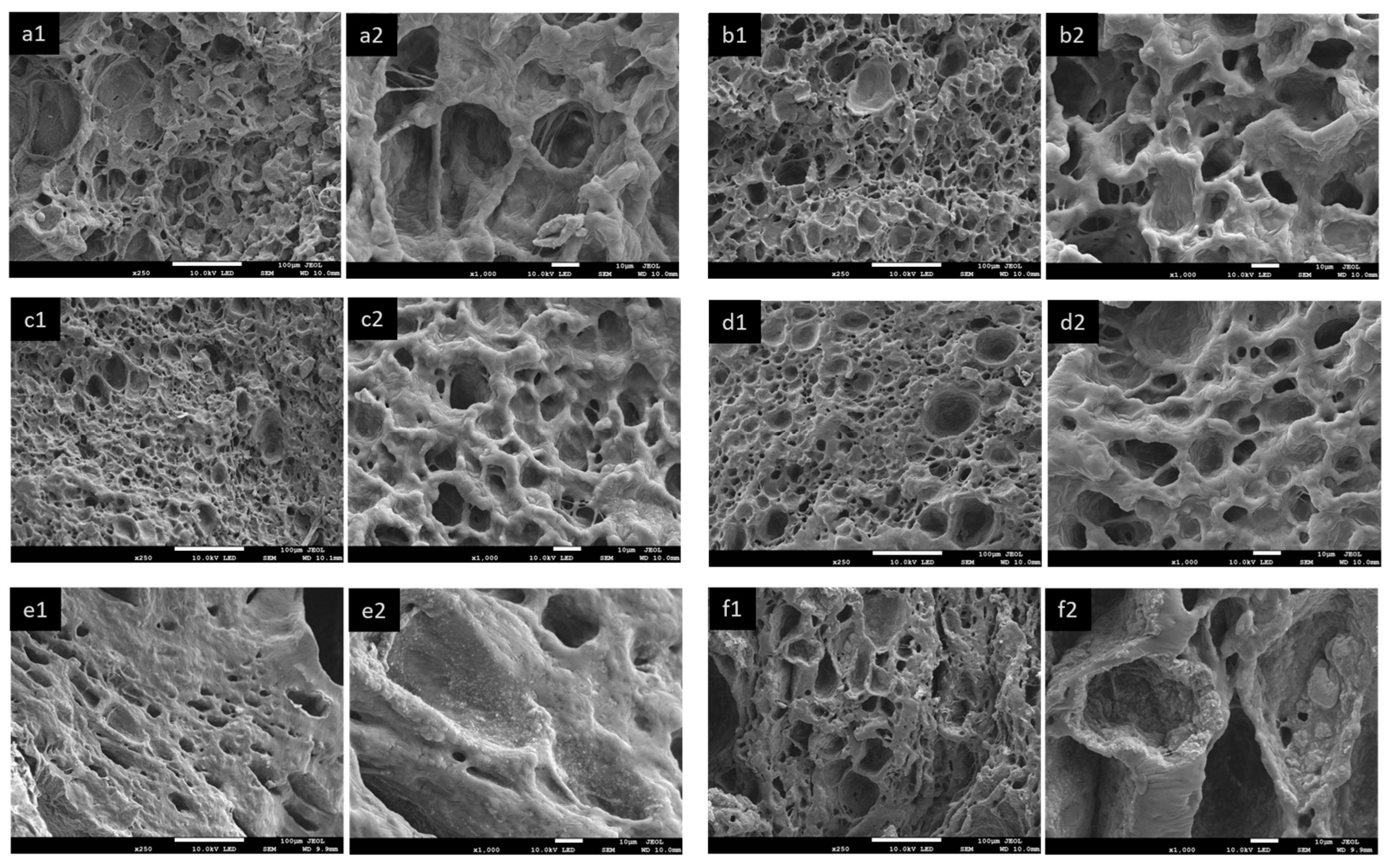 Polymers 16 00092 g006