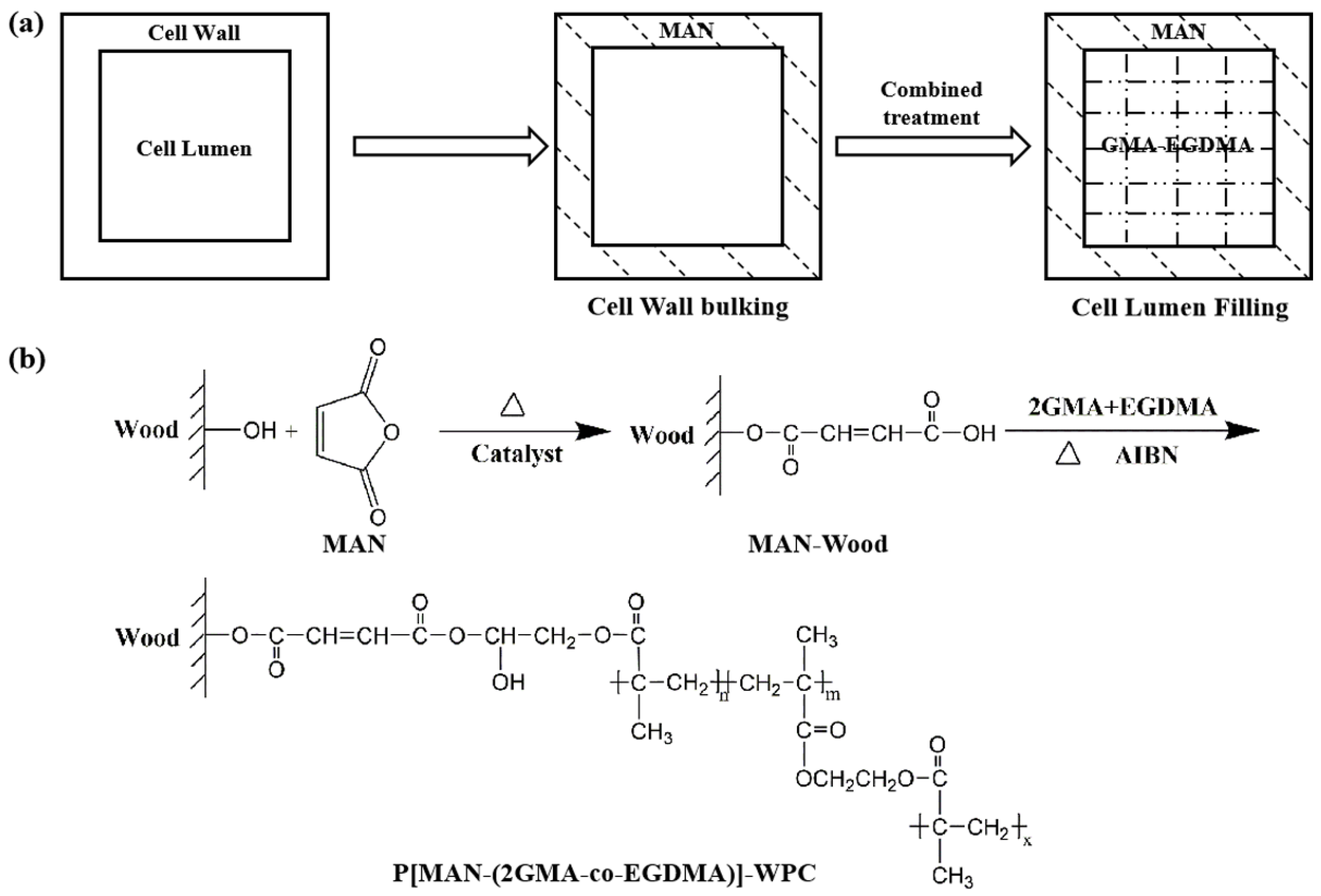 Polymers 16 00093 g001