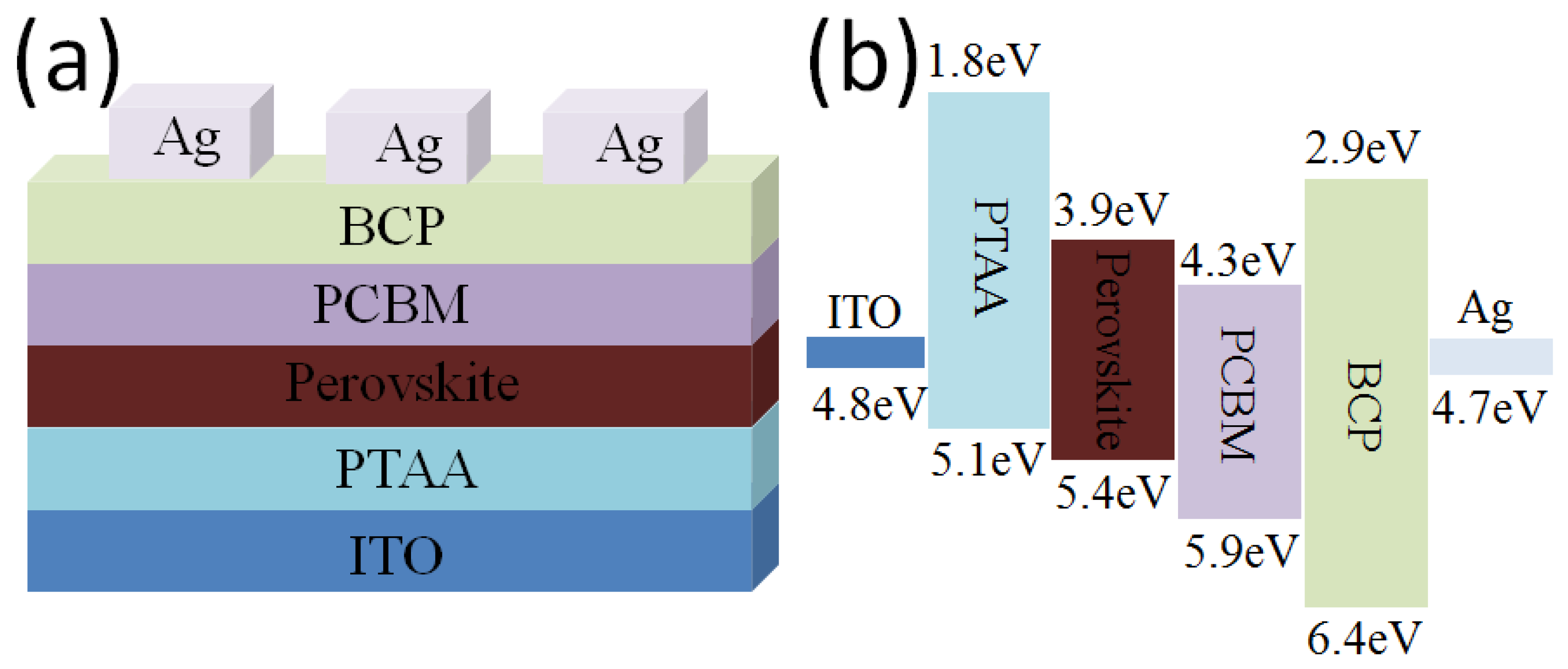 Polymers 16 00094 g001