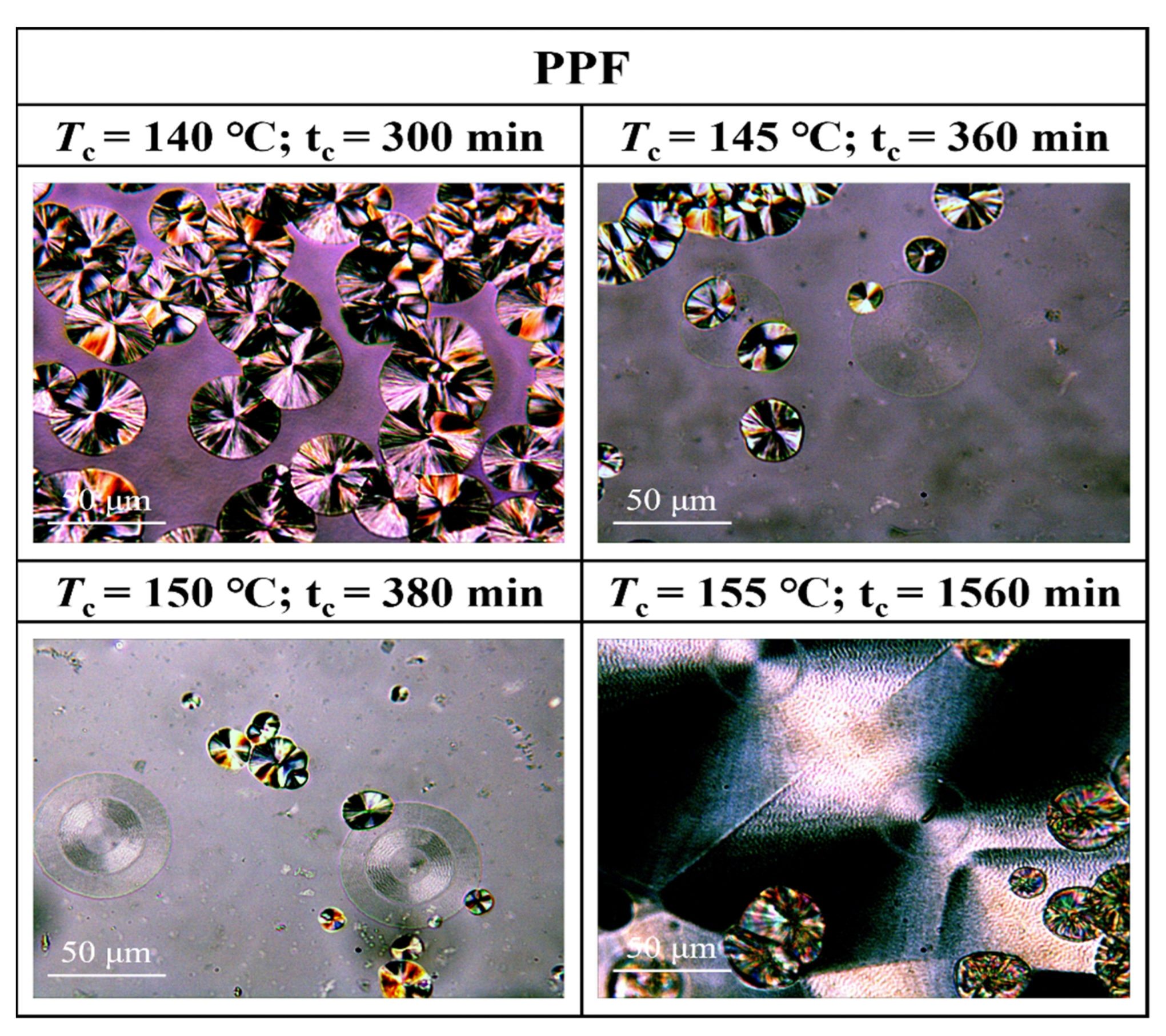 Polymers 16 00097 g007