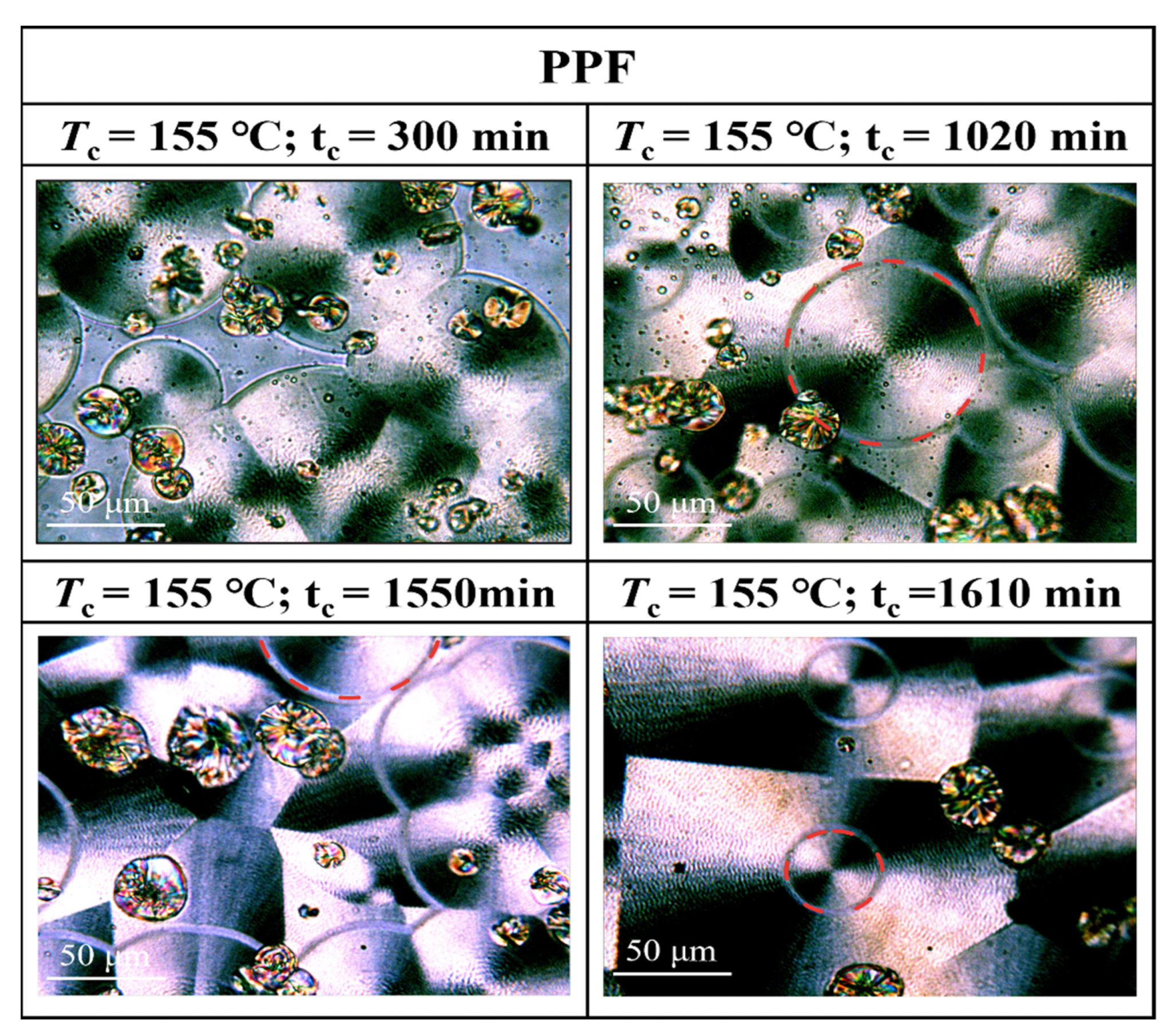 Polymers 16 00097 g011
