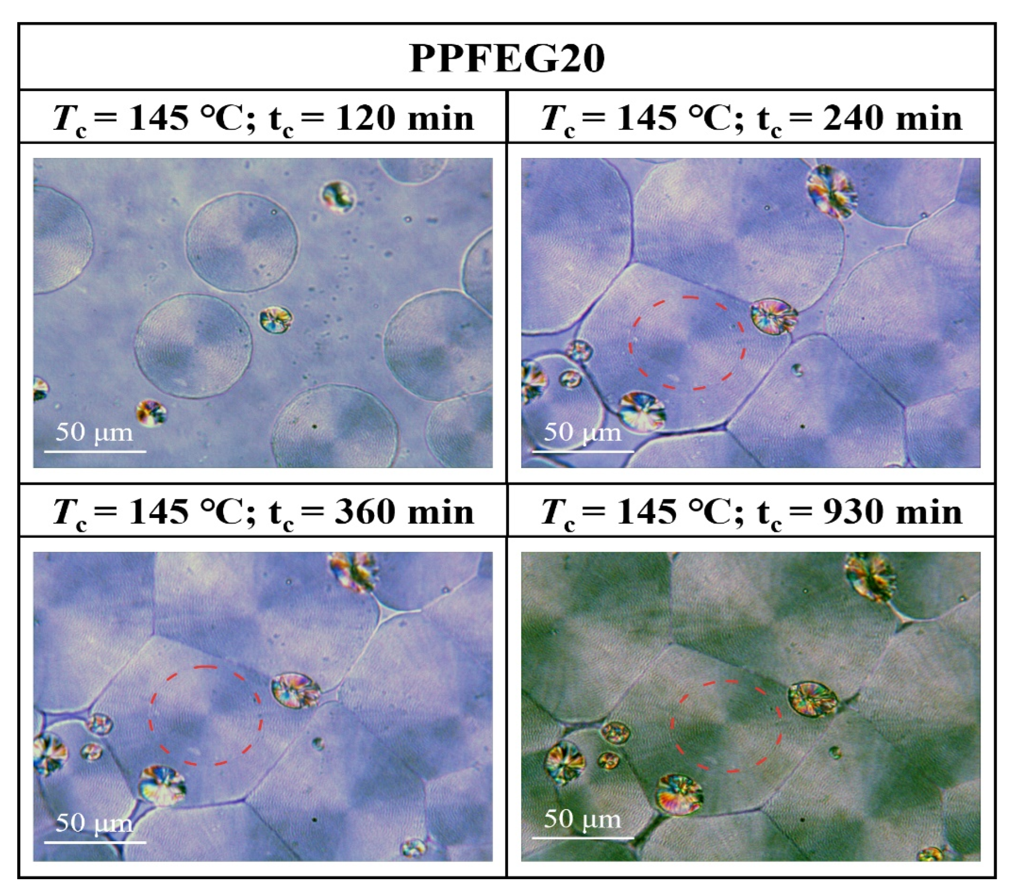 Polymers 16 00097 g013