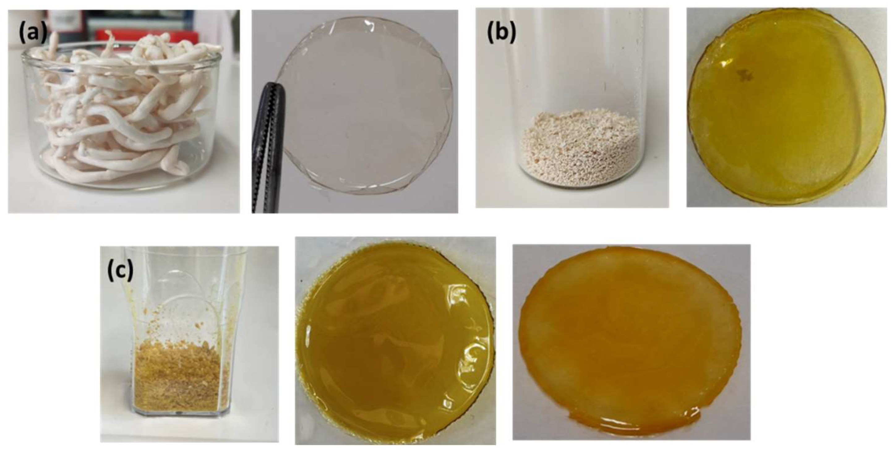 Polymers 16 00099 g002