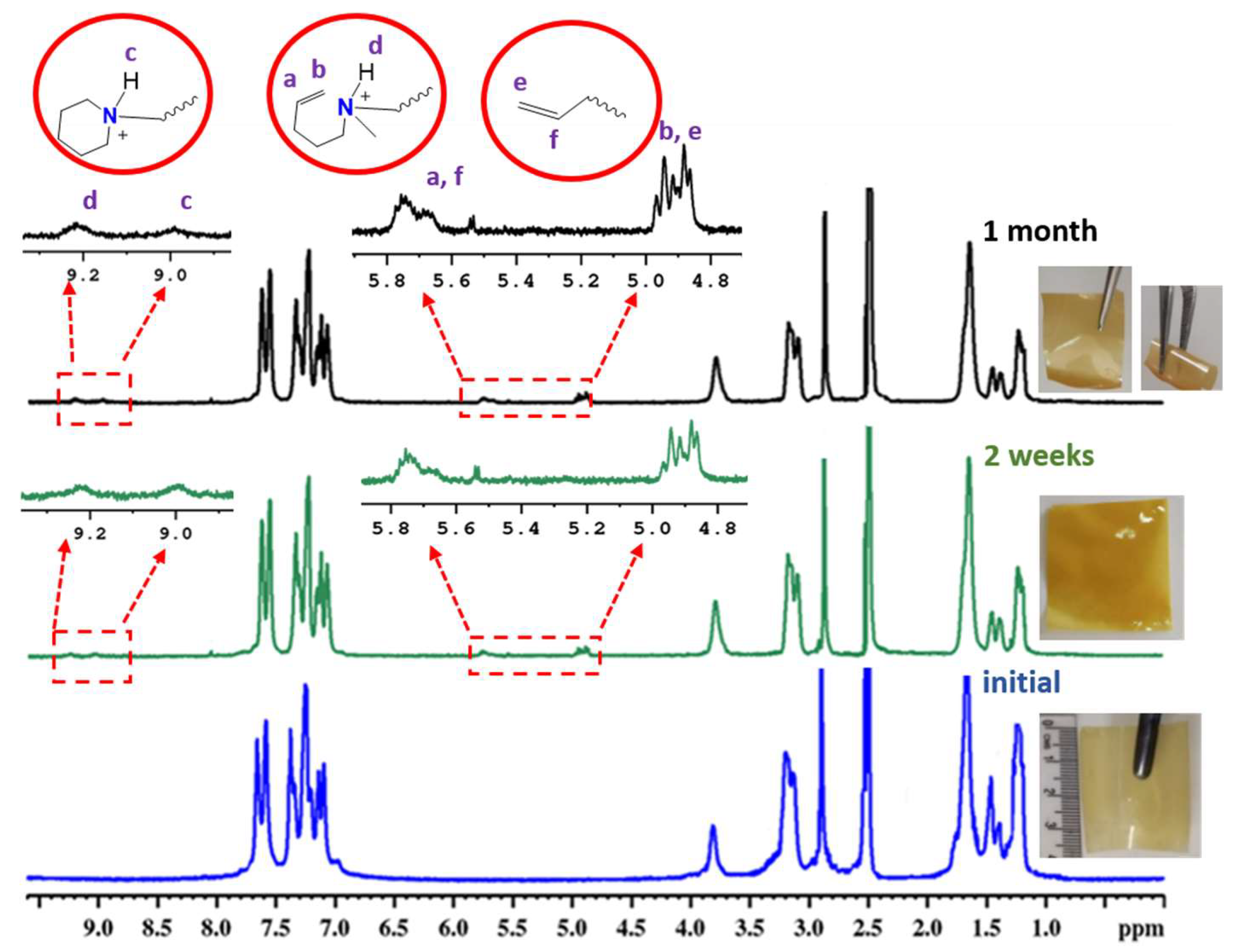 Polymers 16 00099 g009